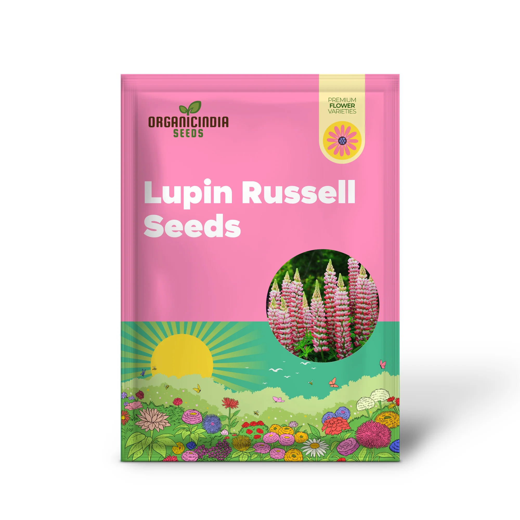 Lupin Seeds (Lupin Russell 'The Chatelaine' Seeds) - Pink Timeless Blooms for Gardens - Image 3