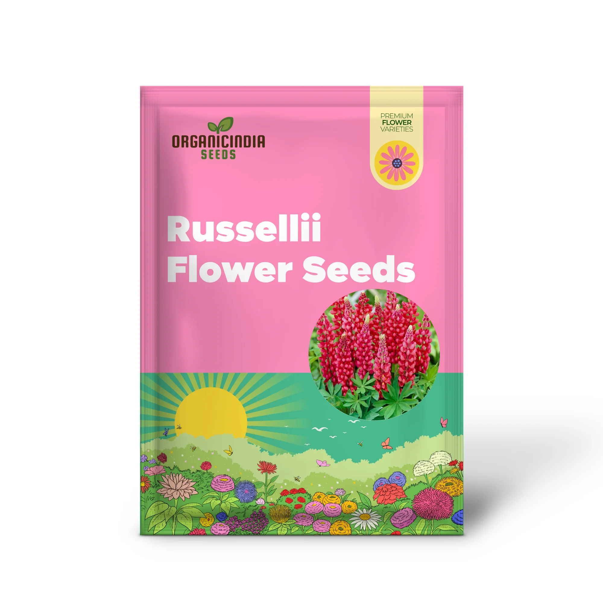 Lupinus x russellii 'My Castle' Flower Seeds for Planting, Majestic Addition to Your Garden, Premium Quality Gardening Seeds - Image 2