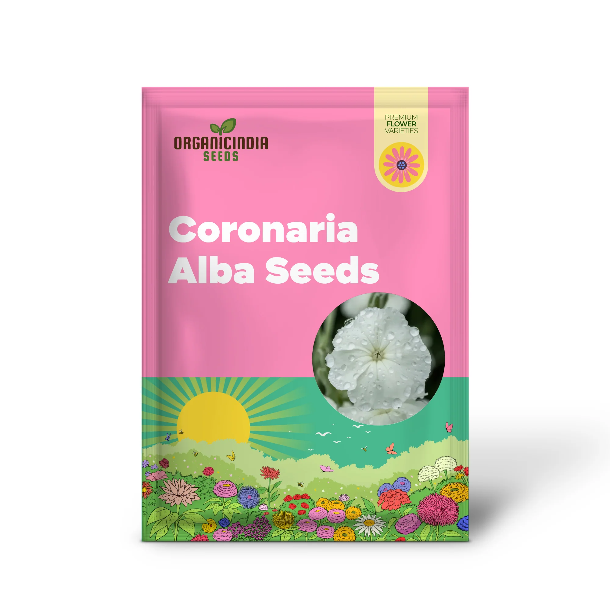 Lychnis Coronaria Alba Flower Seeds, Beautiful White Blooms for Your Garden, Premium Seeds for Gardening - Image 2