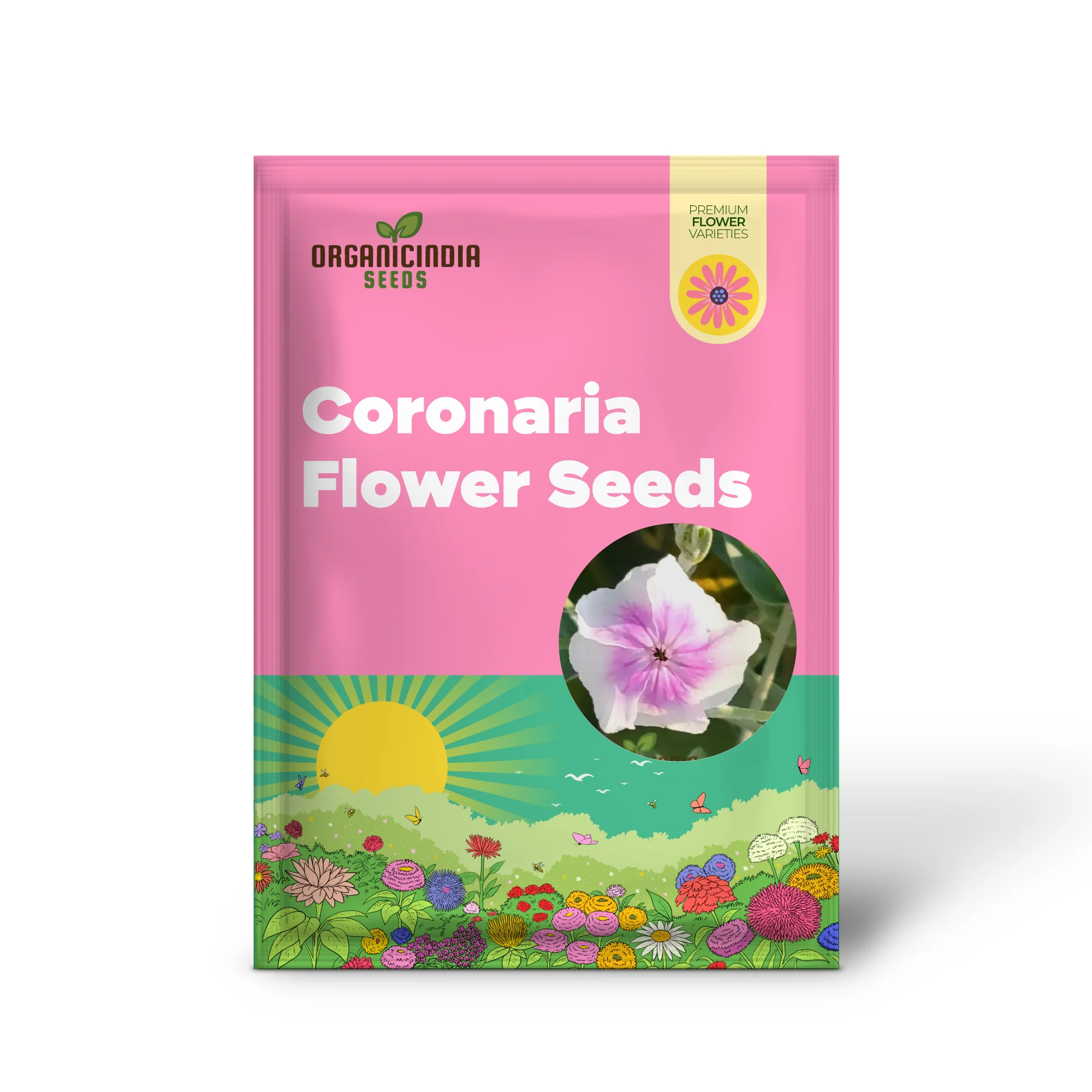 Lychnis Coronaria 'Angel's Blush' Flower Seeds Delicate and Unique Garden Blooms, Premium Seeds for Gardening - Image 2