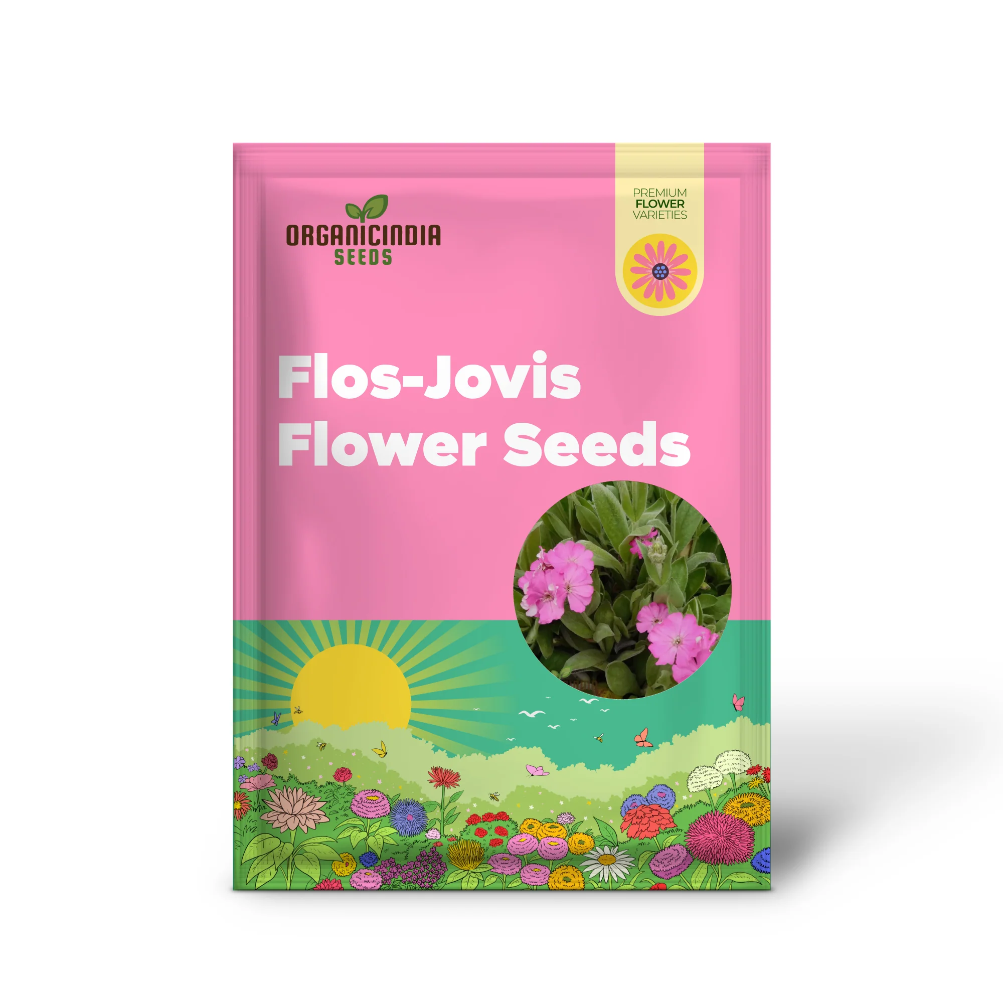 Lychnis Flos-Jovis Flower Seeds for Planting, Premium Seeds for Gardening - Image 2