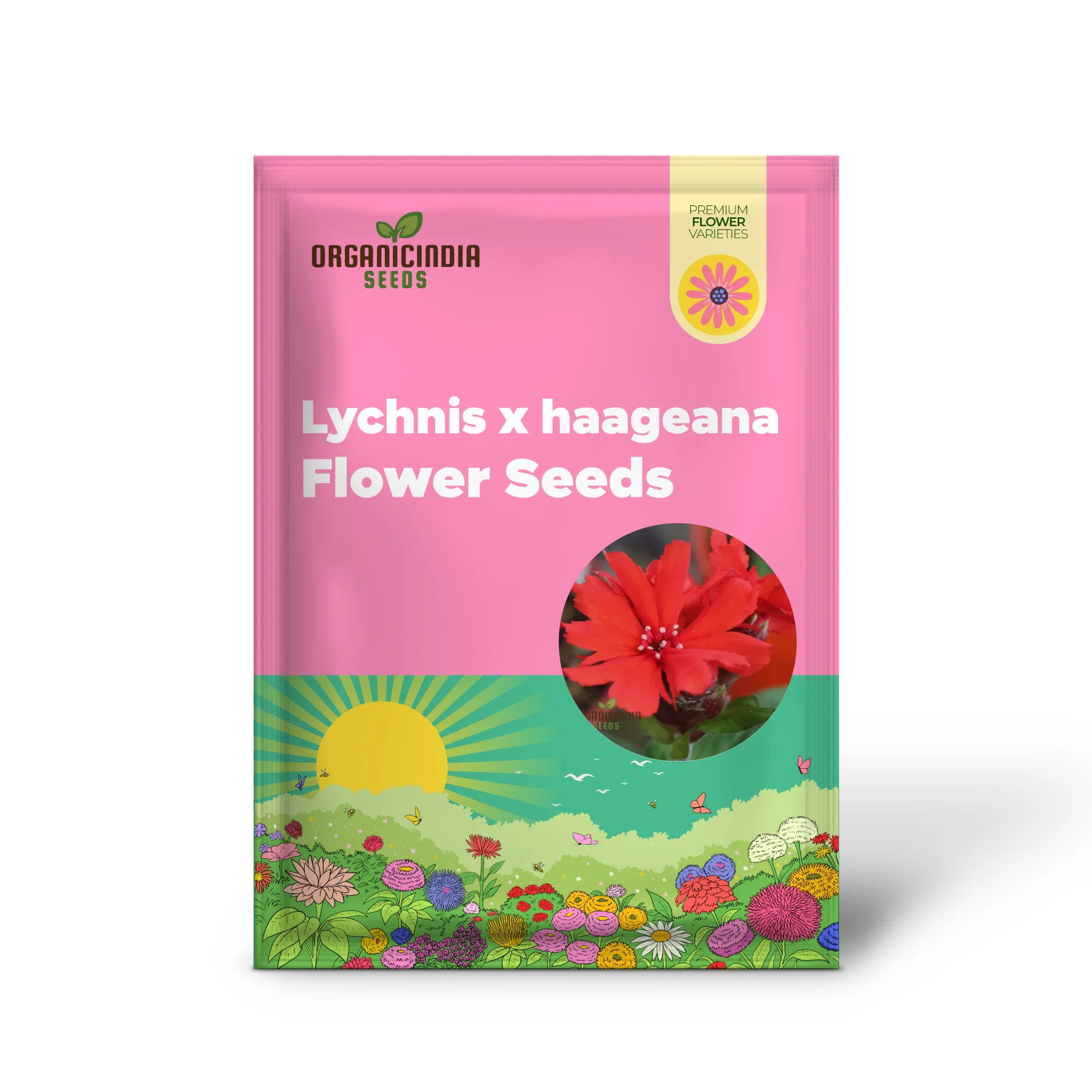 Lychnis x haageana 'Molten Lava' Flower Seeds, Vibrant Garden Blooms, Premium Seeds for Gardening - Image 2