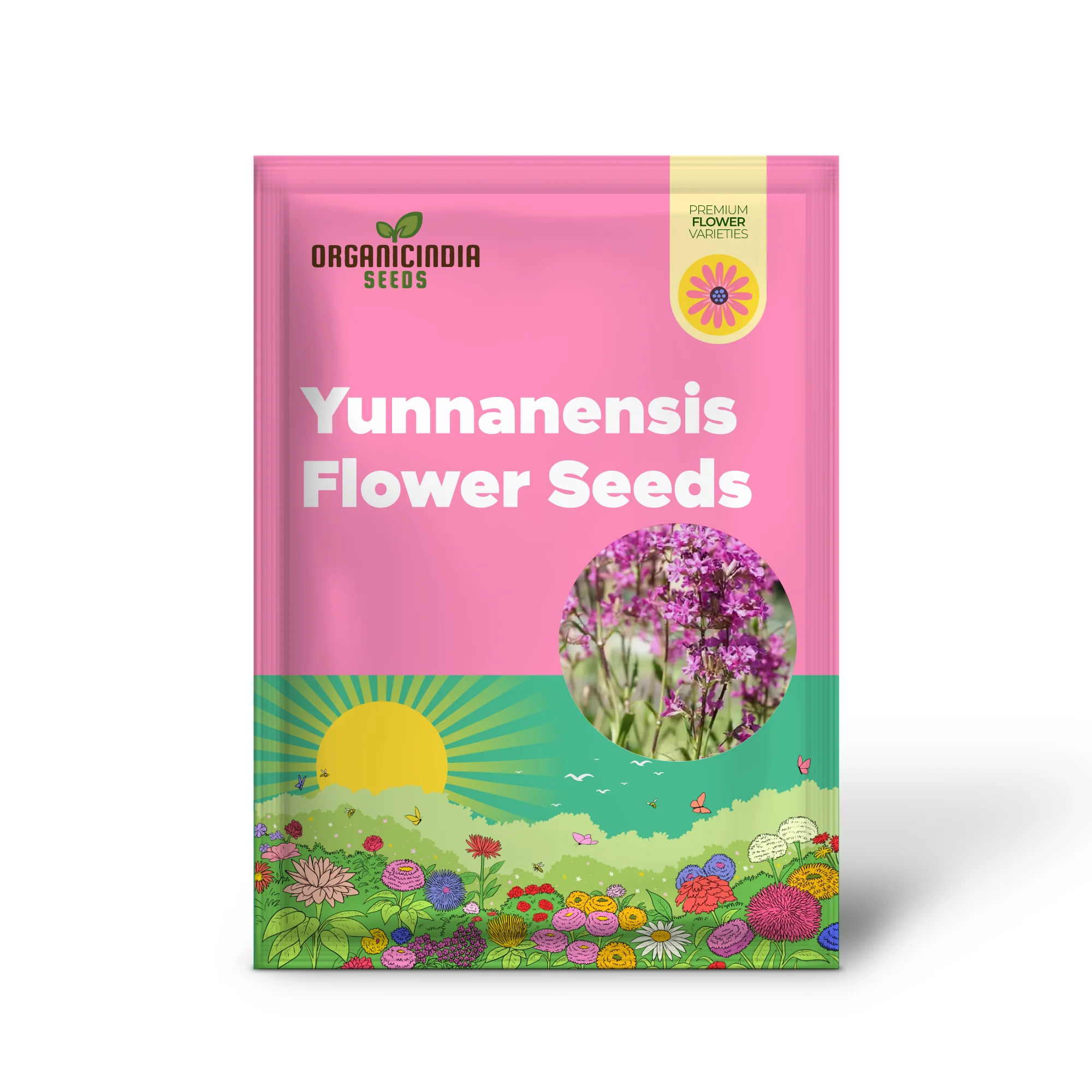Lychnis Yunnanensis Flower Seeds for Planting, Unique and Colorful Garden Blooms - Image 2