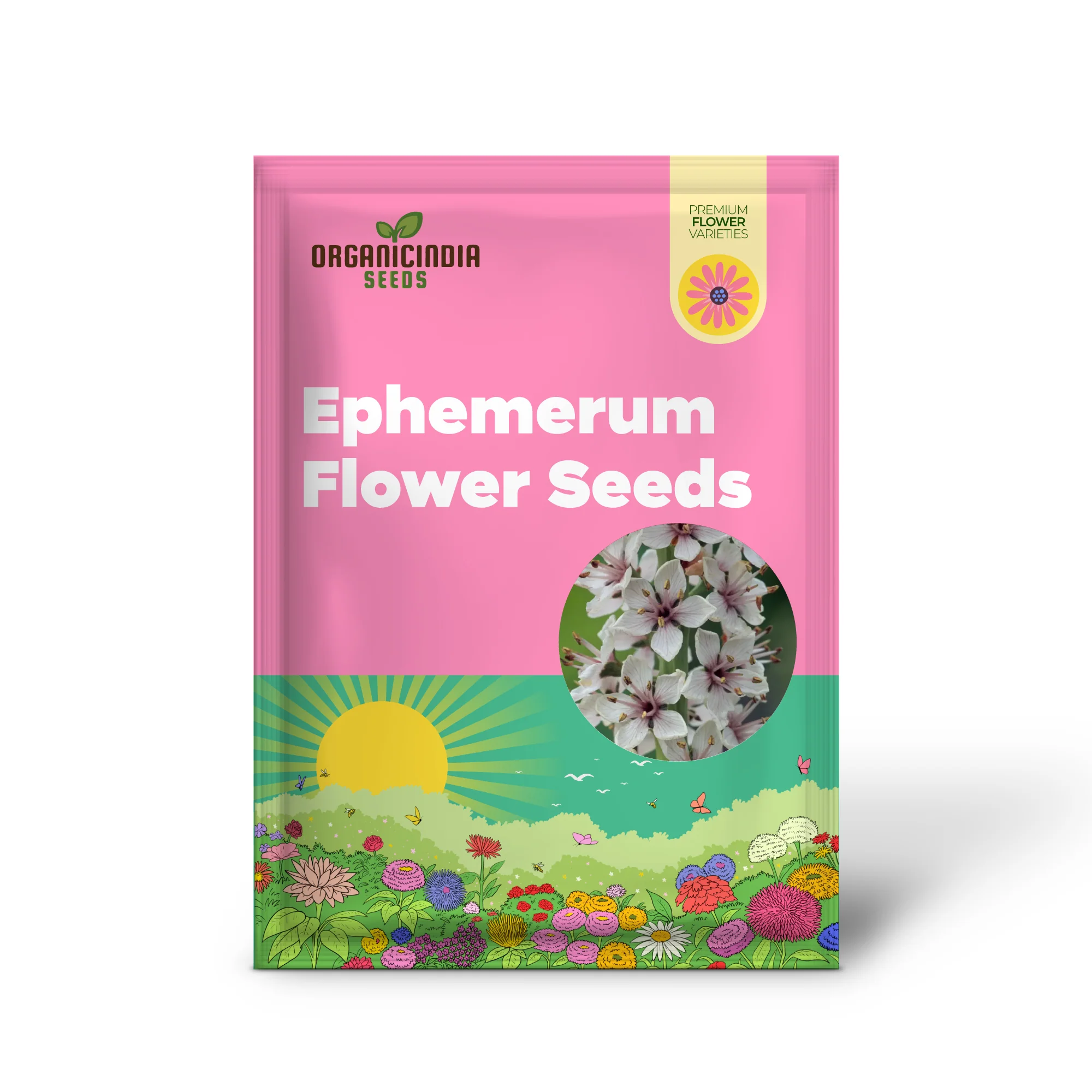 Lysimachia Ephemerum Flower Seeds, Elegant and Rare Garden, Premium Seeds for Gardening - Image 2