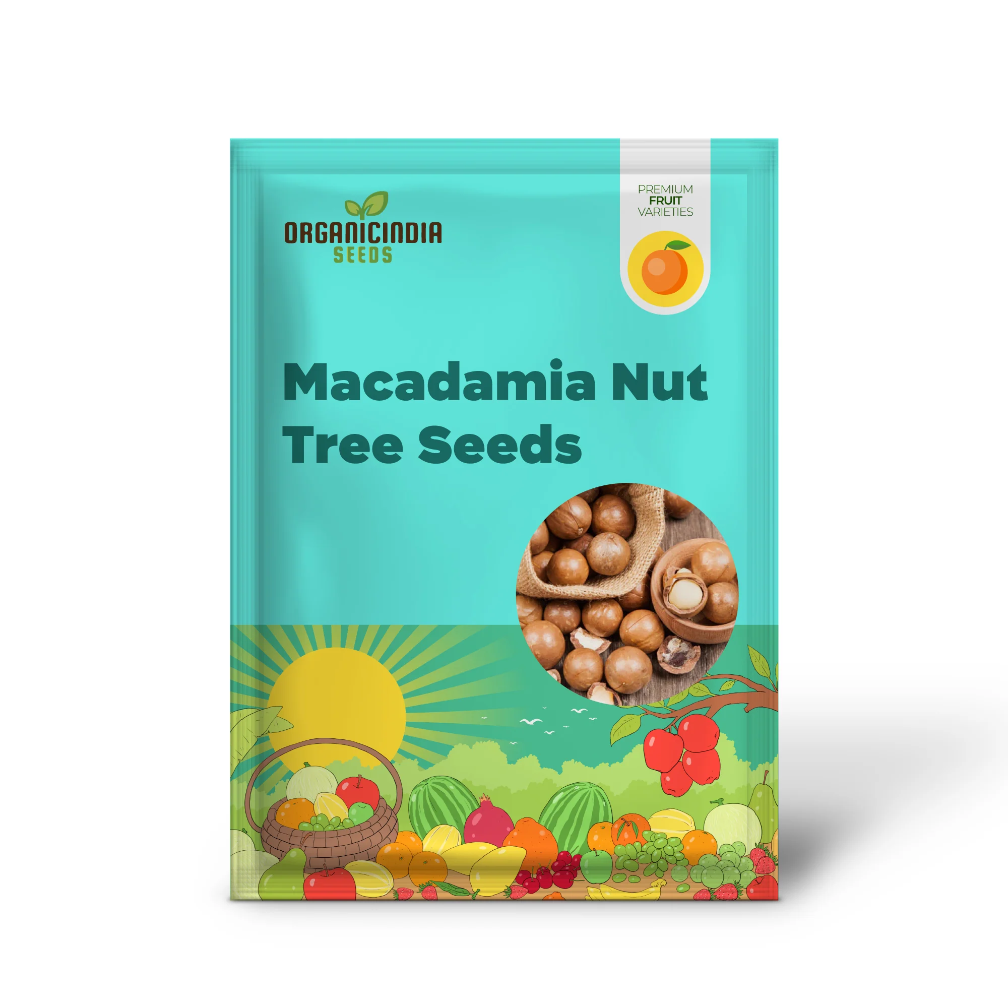 Macadamia Nut Tree Seeds - Image 2
