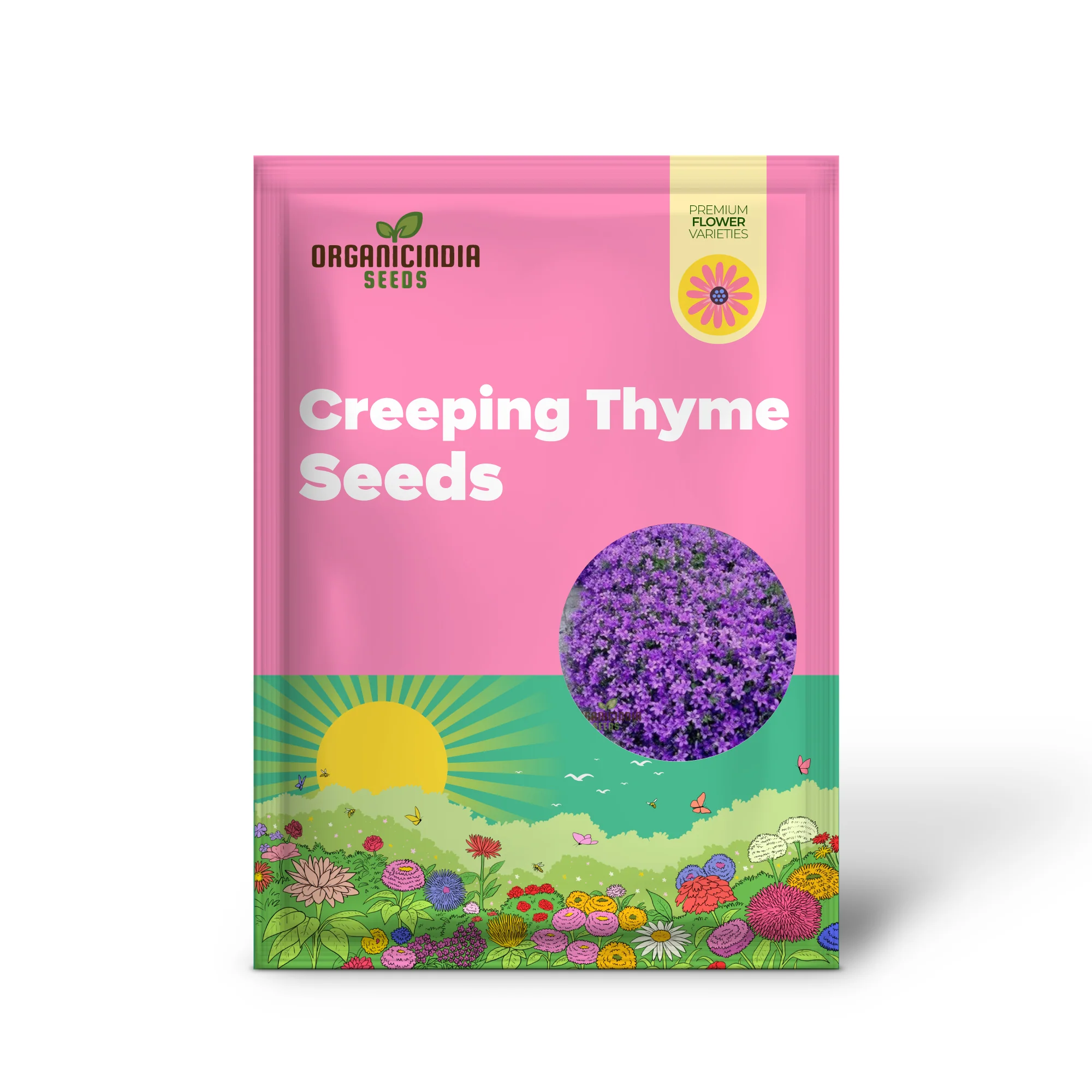 Magic Creeping Thyme Seeds Creeping Thyme Seeds Dwarf Ground Cover Plants Seeds Easy to Plant and Grow Non-GMO Seeds - Image 2