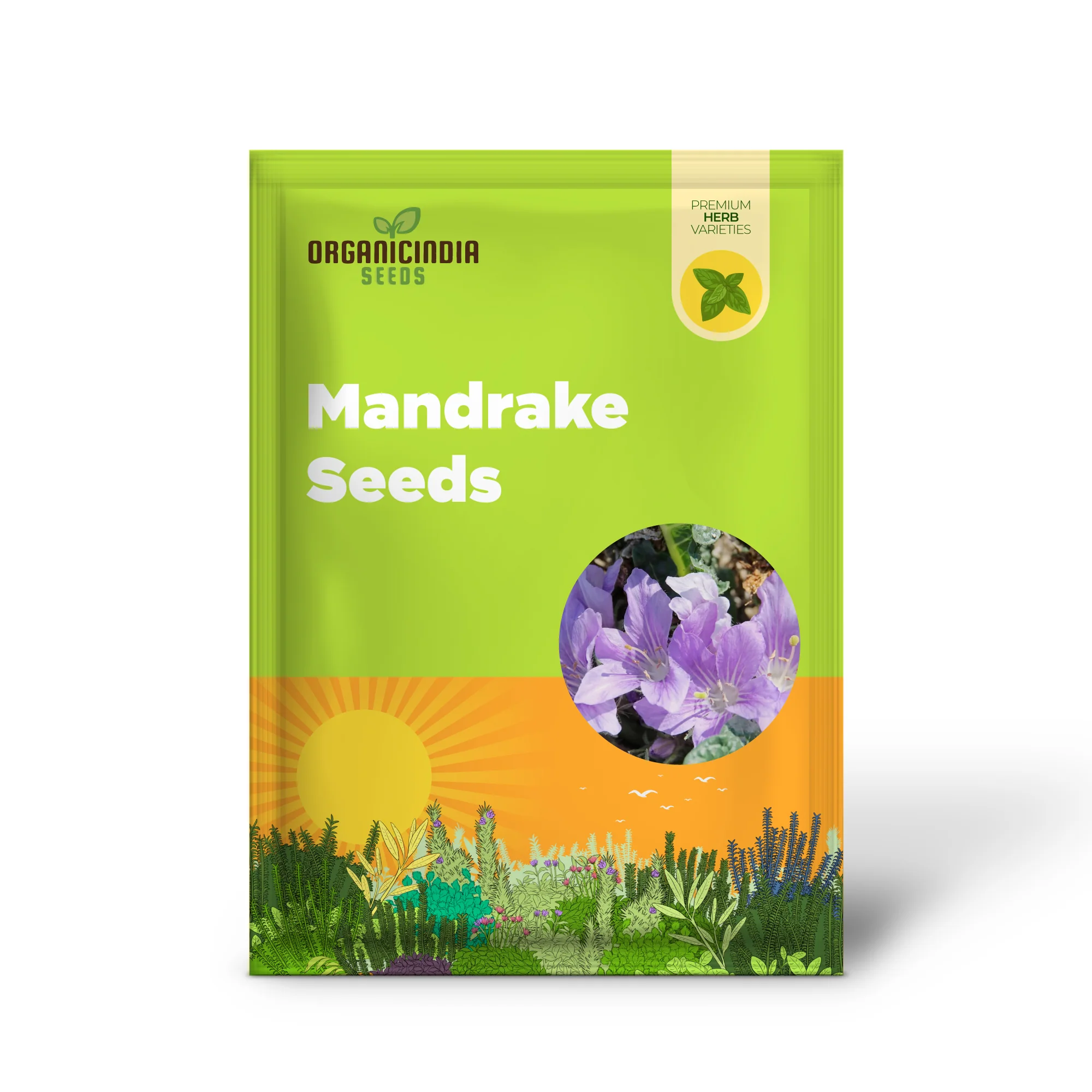 Mandrake Seeds - Mandragora Officinarum Perennial Herb for Fruit & Berries, Ideal for Courtyard and Outdoor Gardens, GMO-Free - 20Pcs - Image 2