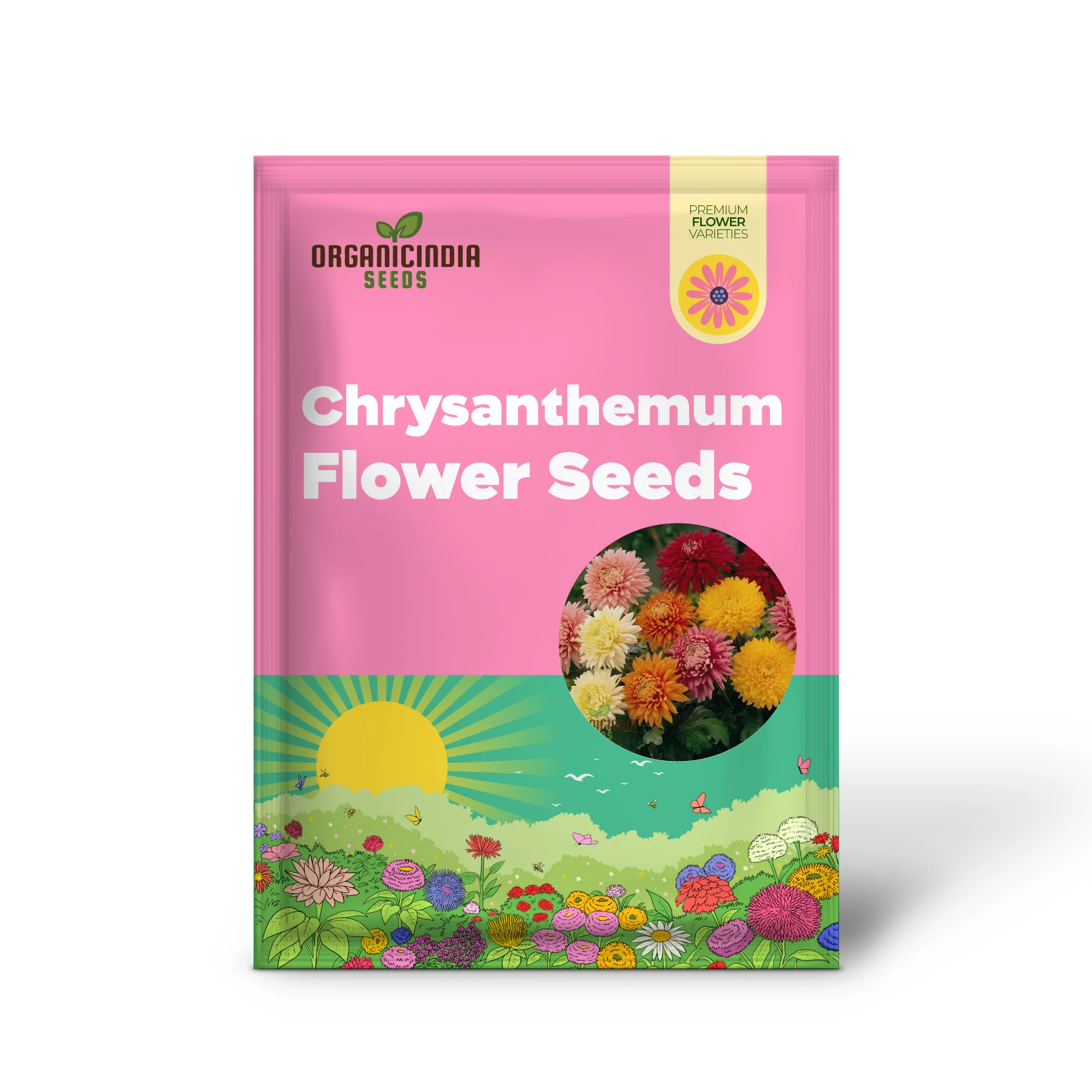 Margherita Bella Chrysanthemum Seeds - 100 pcs - Image 2
