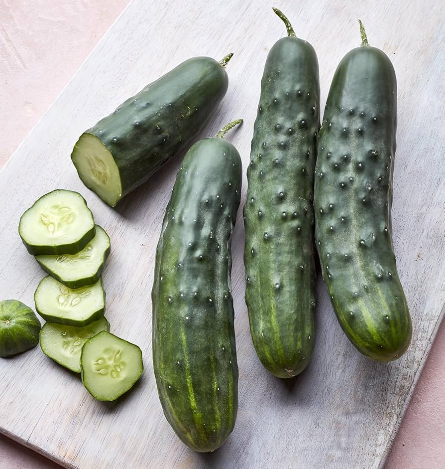 Marketmore 76 Slicing Cucumber Seeds - Image 4