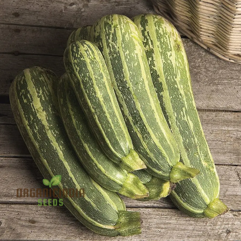 Marrow Green Trailing Vegetable Seeds for Planting, Premium Quality Vegetables Seeds for Growing in Your Home Garden - Image 3