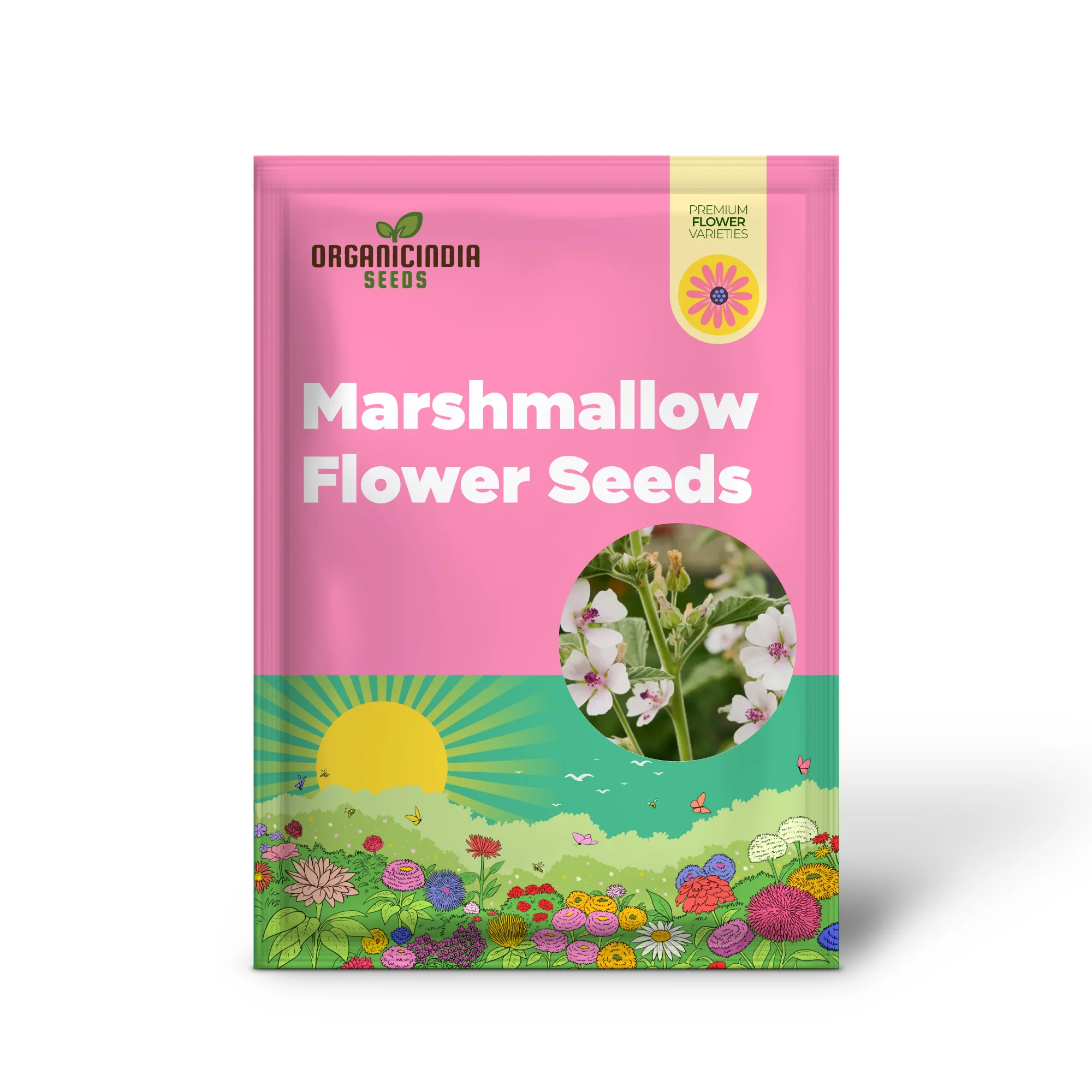 Marsh Mallow Flower Seeds for Planting - Image 2