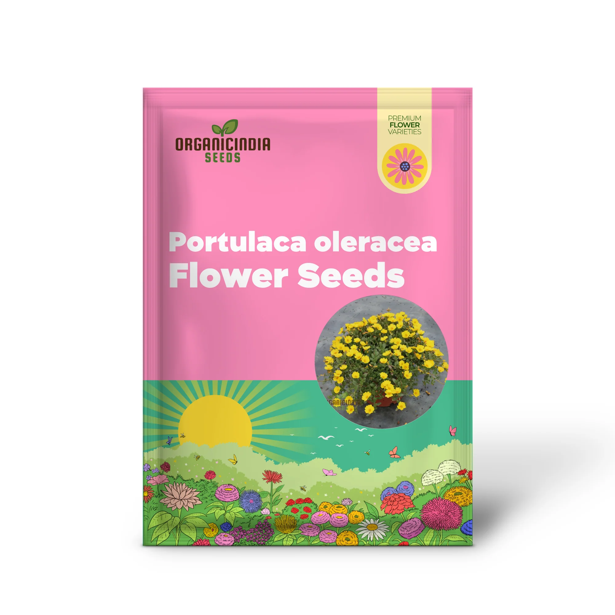 Mastering the Art of Planting and Gardening with Green Portulaca oleracea, A Detailed Guide to Growing These Resilient Flower Seeds - Image 2