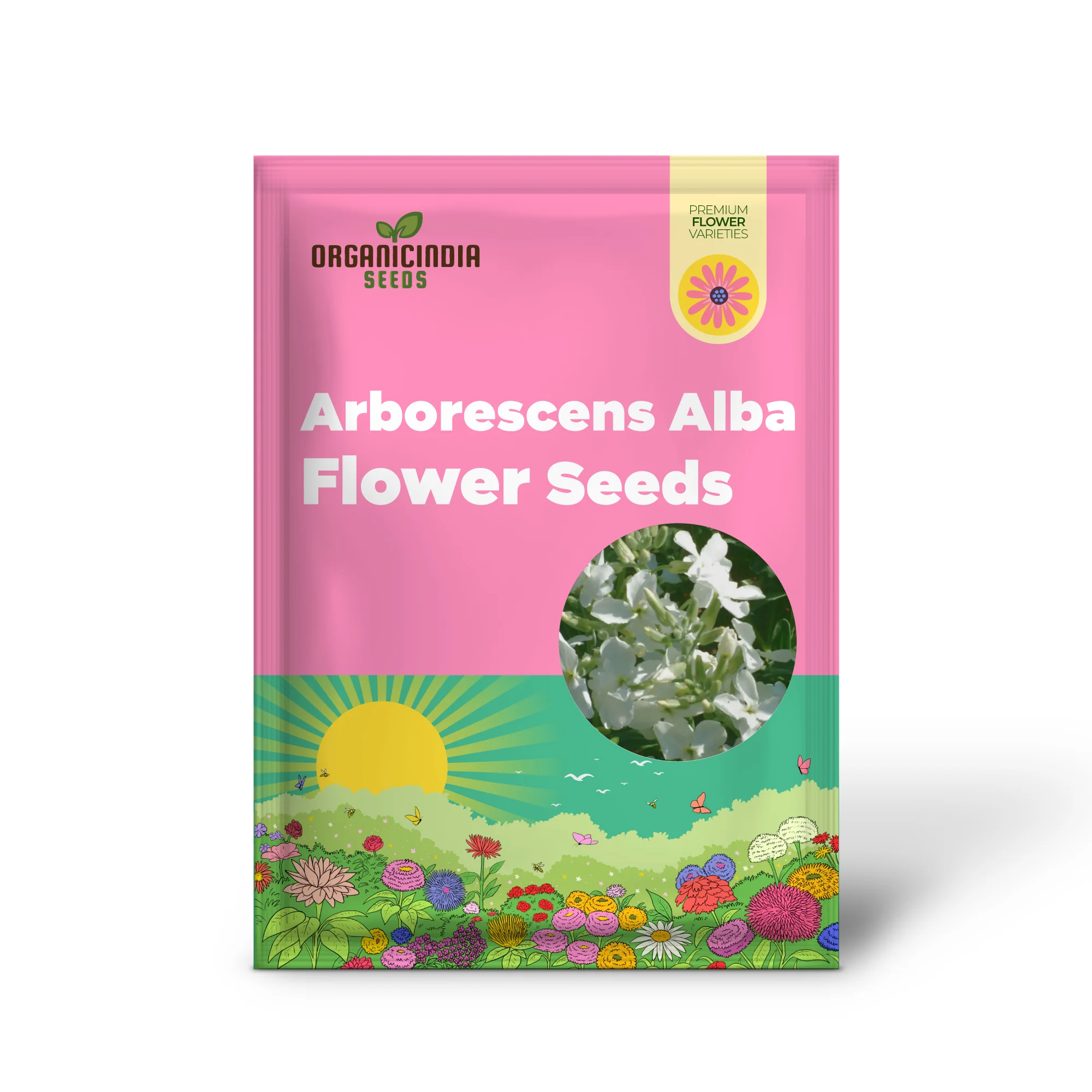 Matthiola Arborescens Alba Flower Seeds for Your Garden, Elegant White Blooms, Premium Gardening Seeds - Image 2