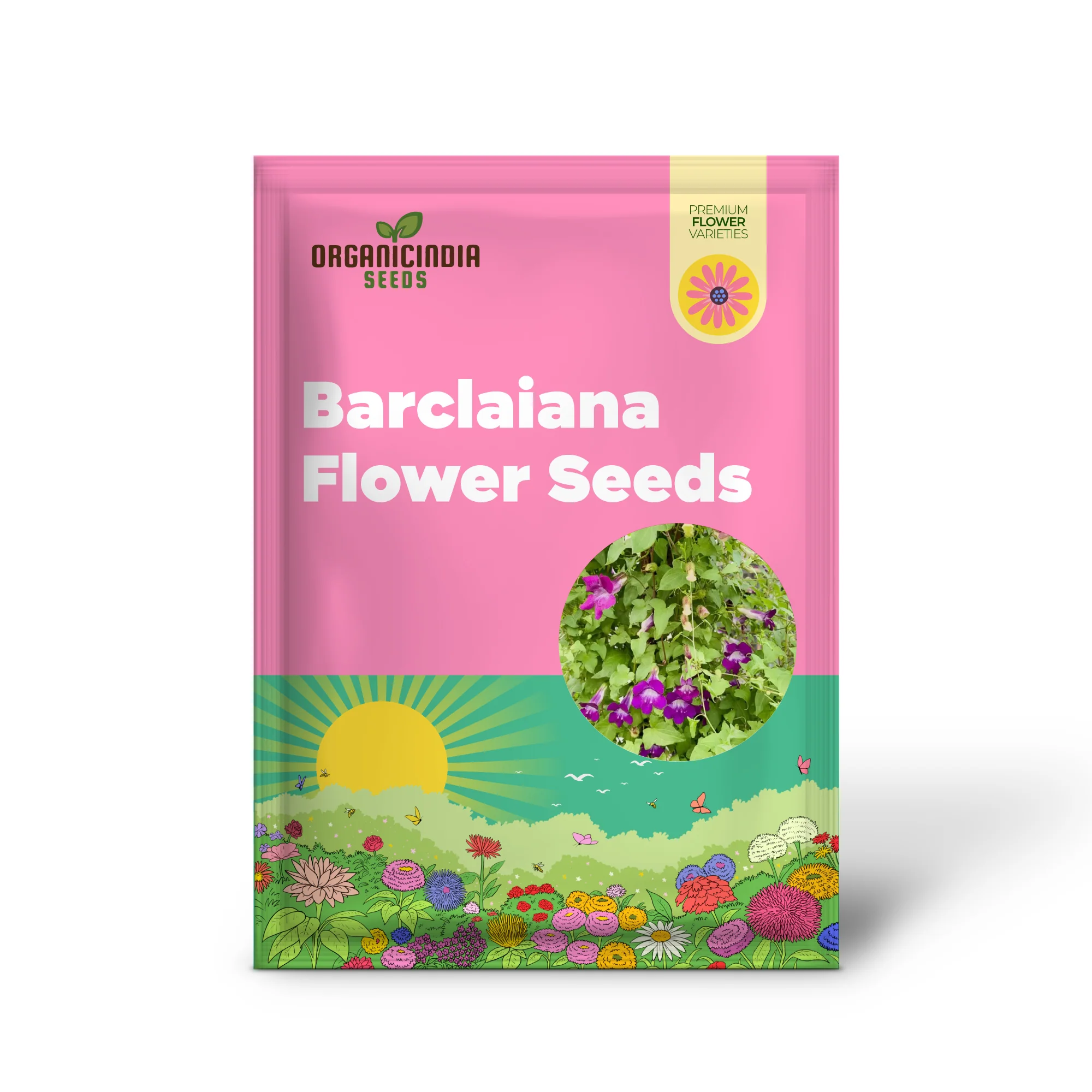 Maurandya Barclaiana Flower Seeds for Planting, Perfect for Gardening - Image 2
