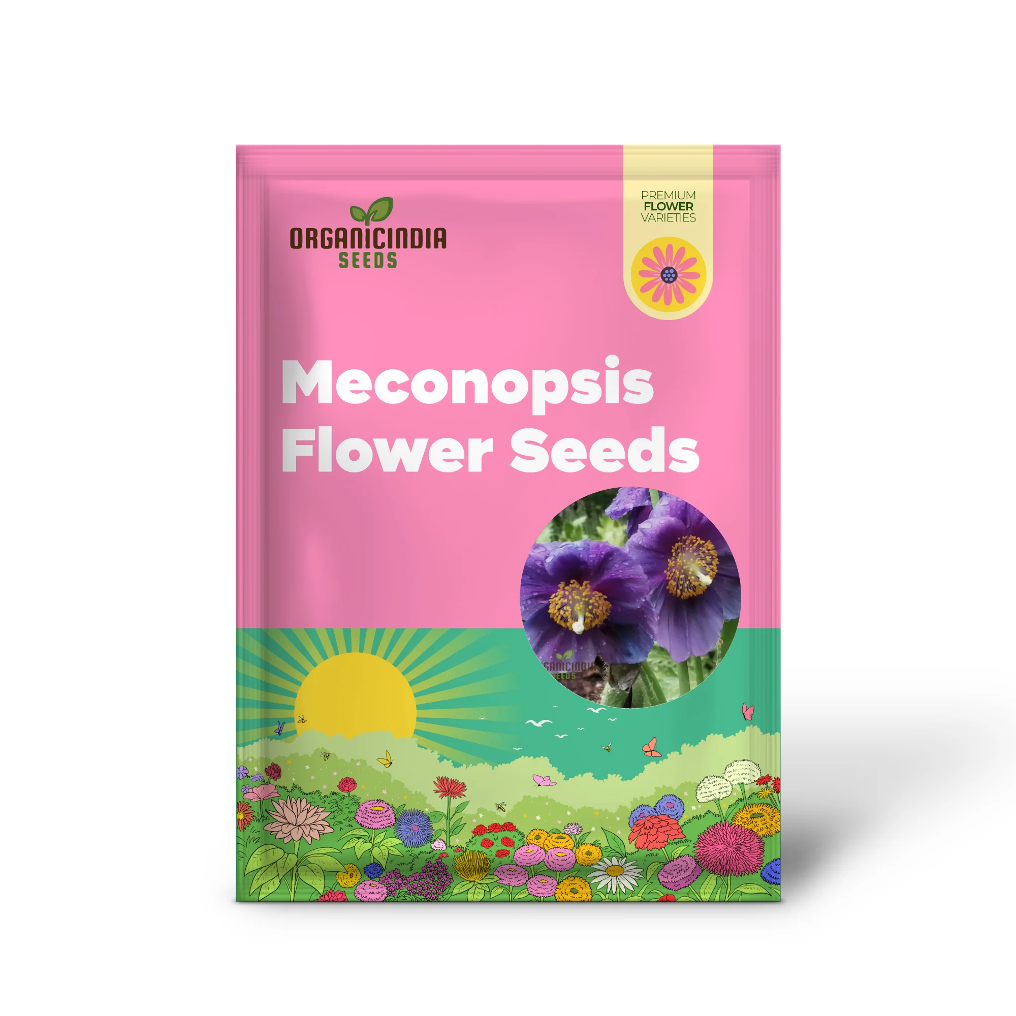 Meconopsis Himalayan Velvet (Lingholm - Ex Grandis) Flower Seeds for Planting, Rare & Beautiful Seeds for Gardening - Image 2