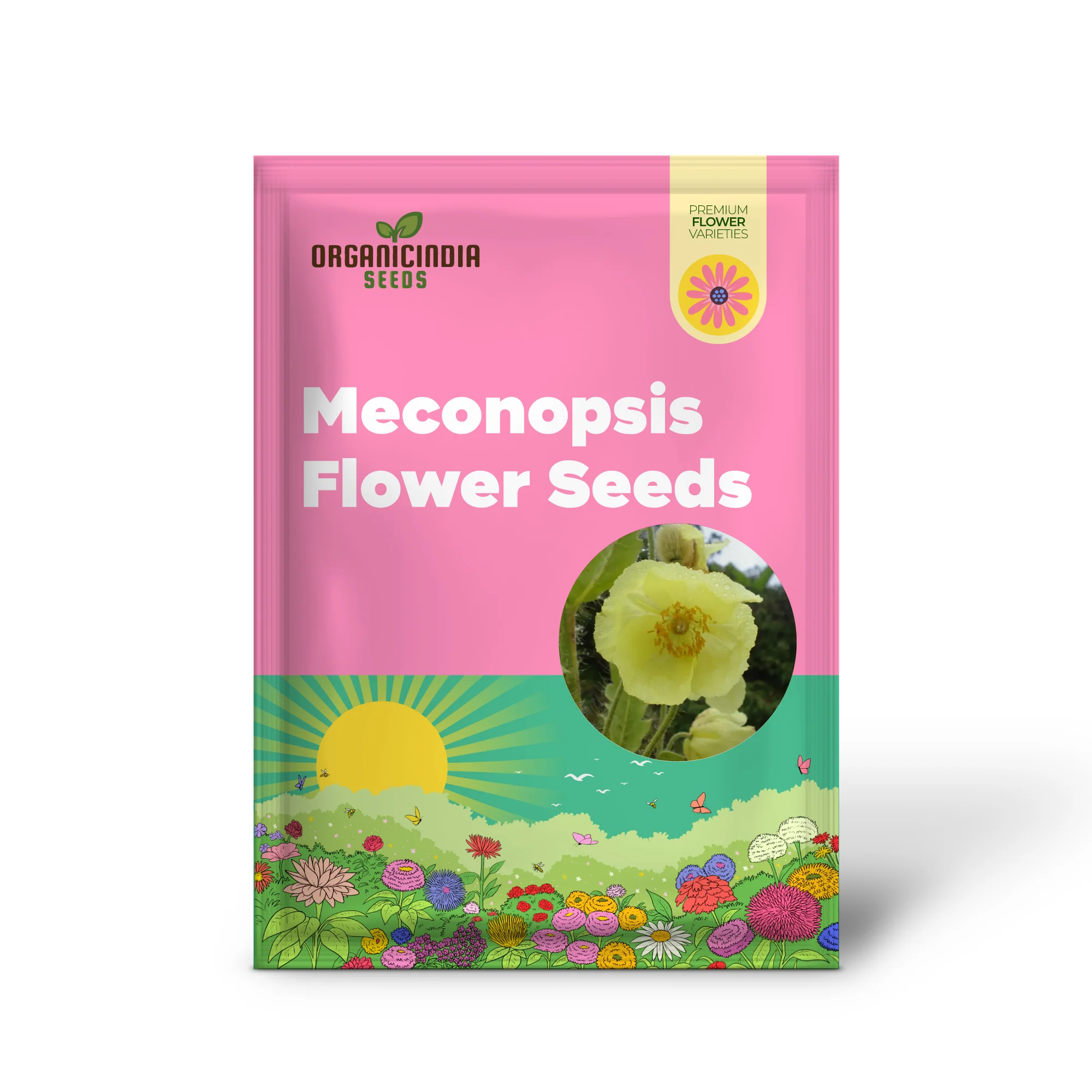 Meconopsis Paniculata Flower Seeds for Planting, Rare and Beautiful Himalayan Blue Poppy Seeds for Gardening - Image 2