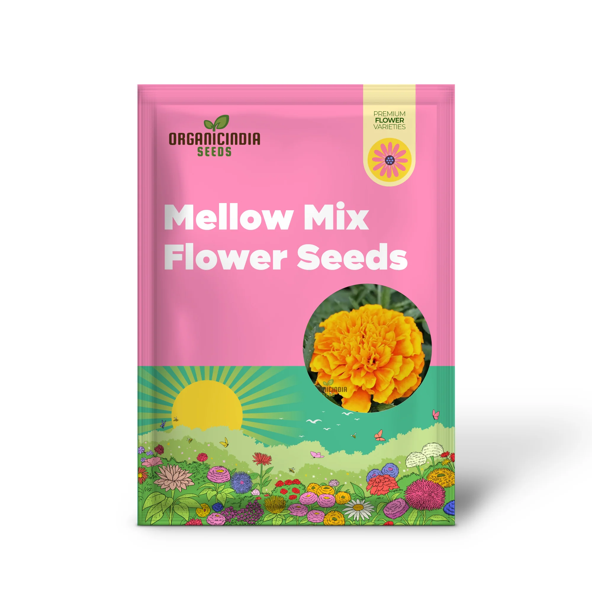 Mellow Yellow Mix Flower Seeds For Planting for a Stunning Garden Display - Image 2
