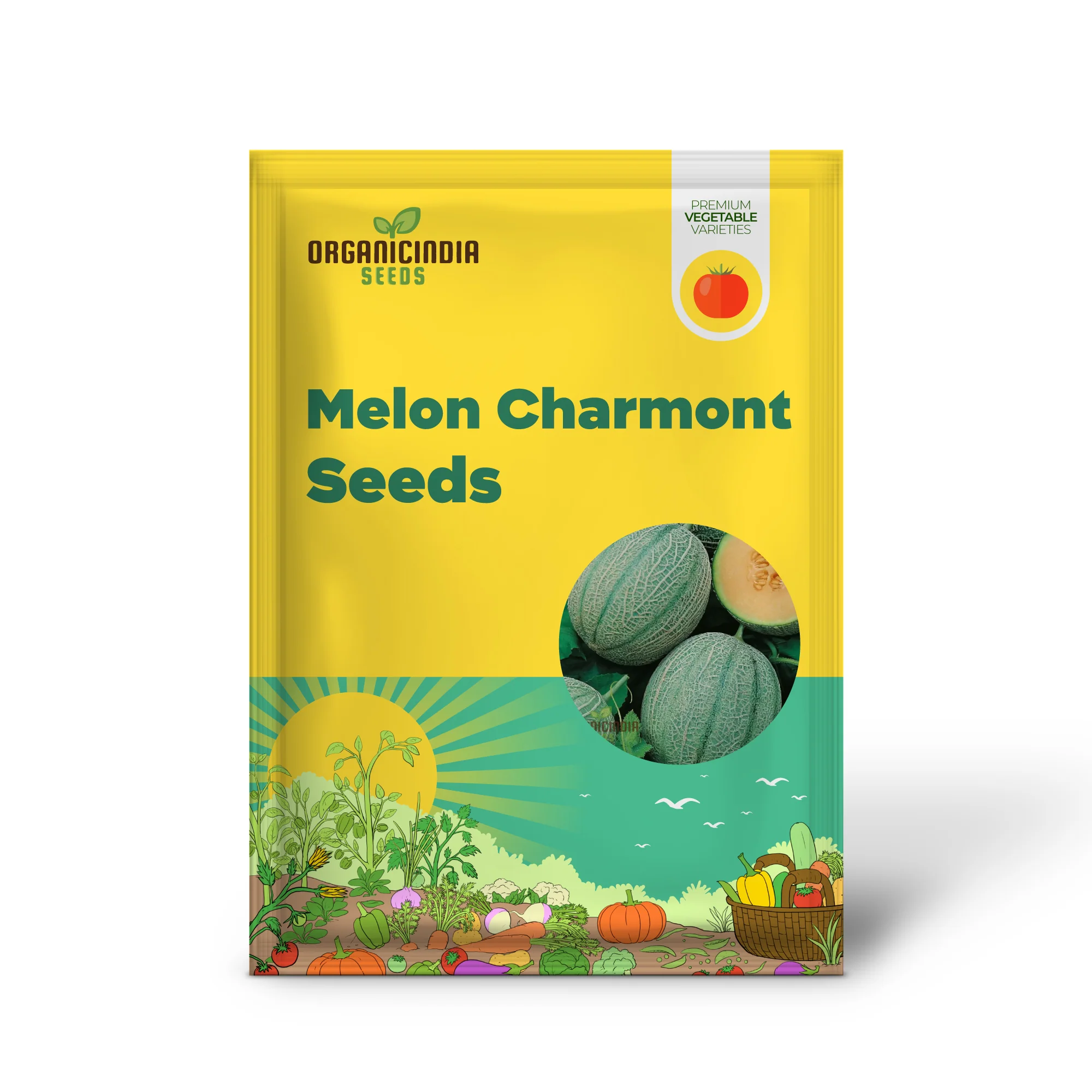 Melon Charmont Seeds for Juicy, Flavorful Harvests, Elevate Your Gardening Experience with Irresistible Fruits Straight from Your Garden! - Image 2