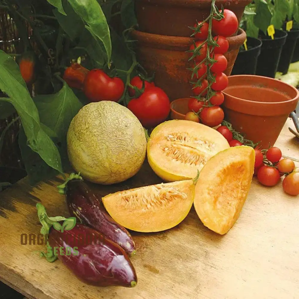 Melon Emir F1 AGM Seeds, High-Quality Fruit Seeds for Planting Delicious Melons in Your Garden - Image 3