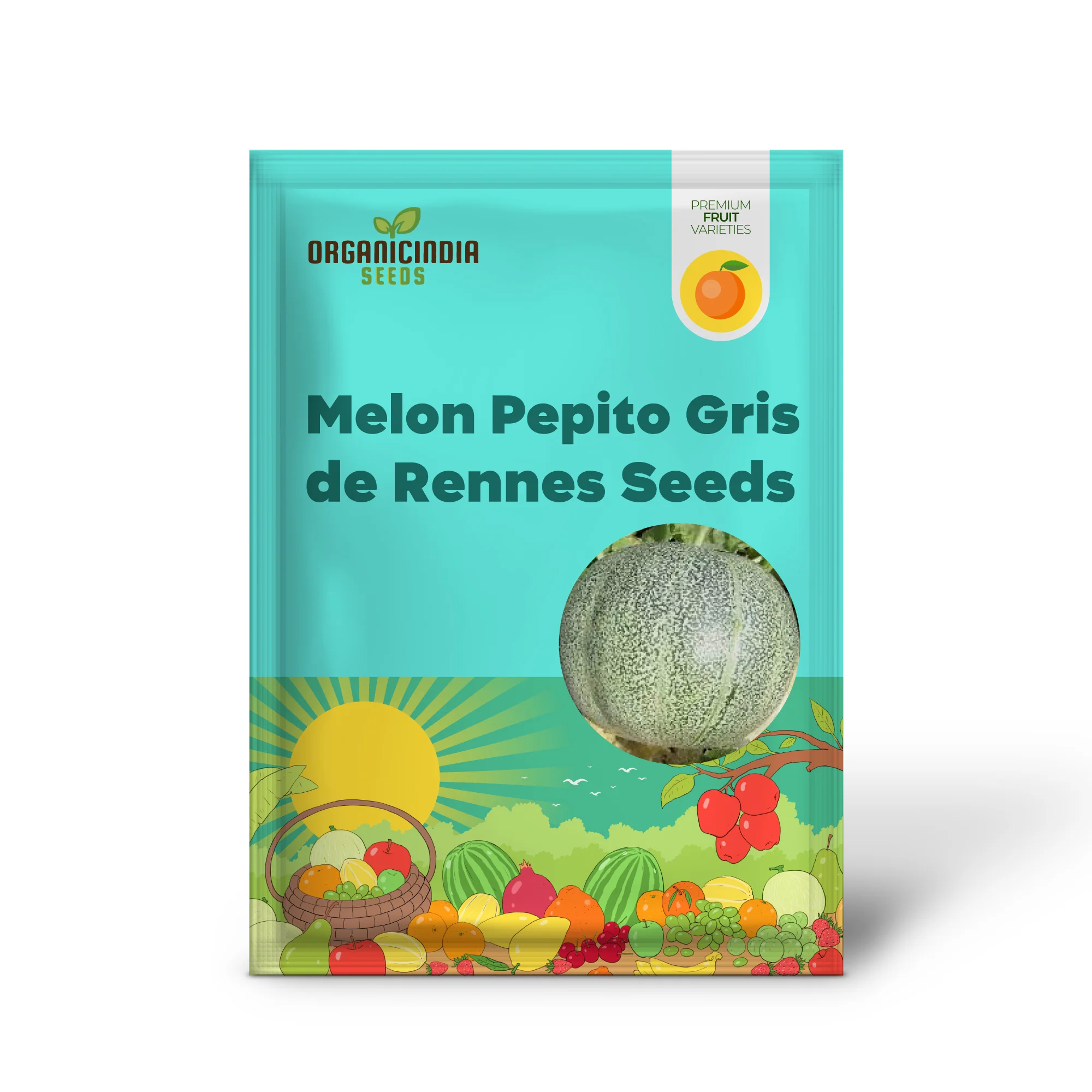 Melon Petit Gris de Rennes Seeds for Your Bountiful Garden - Image 2