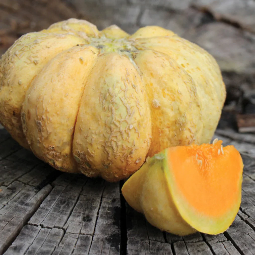 Melon Prescott Fond Blanc For Planting: Exquisite Gardening Delight for Your Green Oasis.