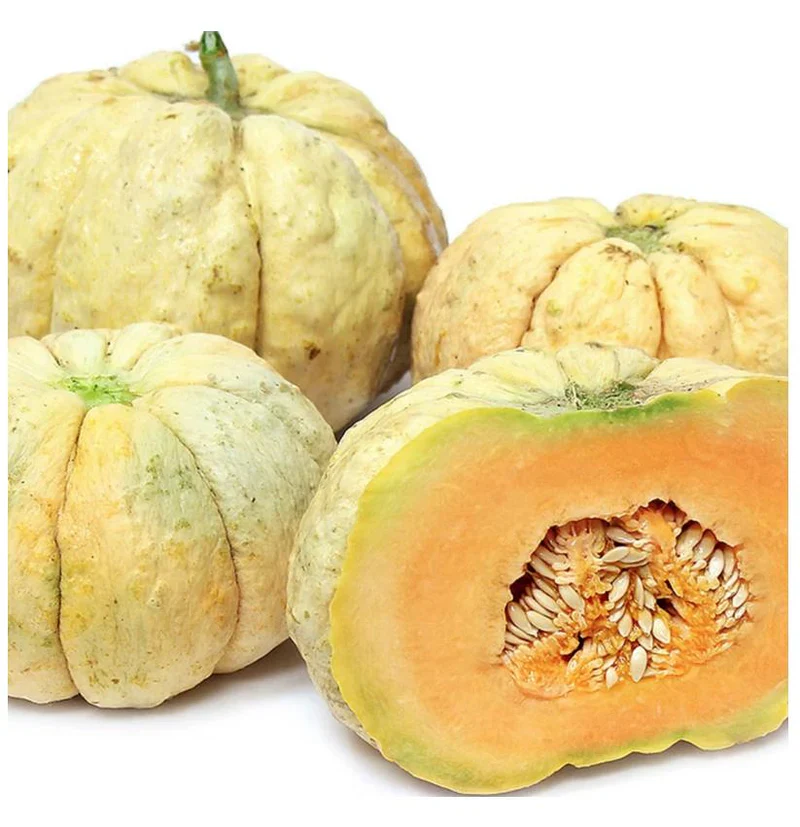 Melon Prescott Fond Blanc For Planting: Exquisite Gardening Delight for Your Green Oasis. - Image 3
