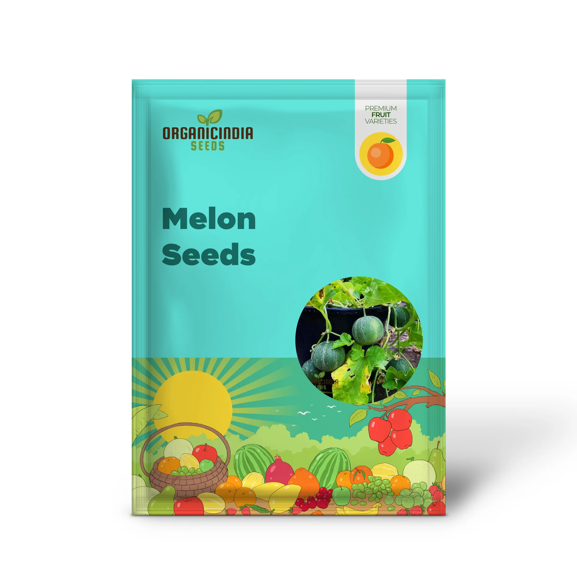 Melon Seeds - Minnesota Midget, Heirloom Garden Planting Seeds - Image 2