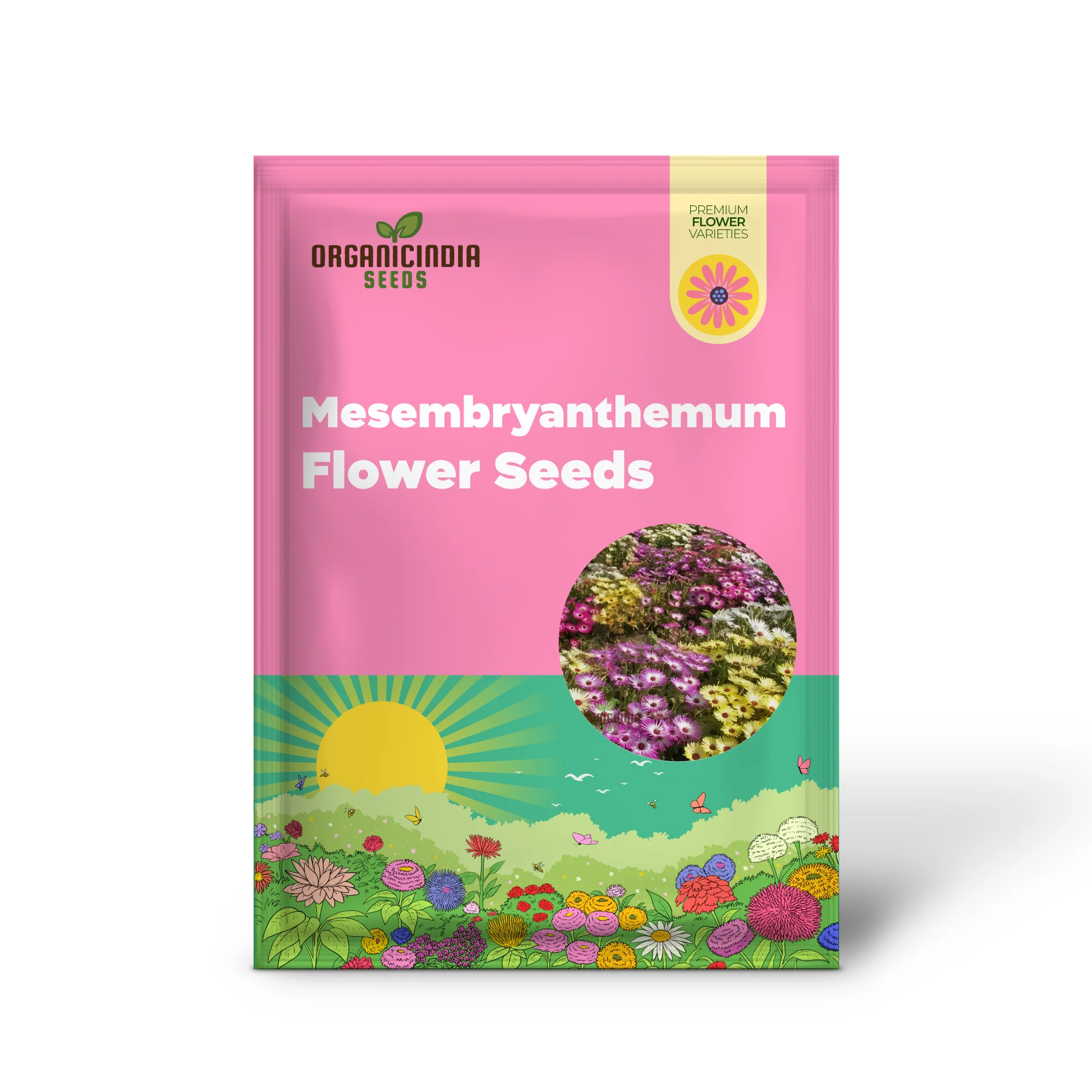 Mesembryanthemum Sparkles Mixed Flower Seeds - Dazzling Array of Colors for Vibrant Garden Displays - Image 2