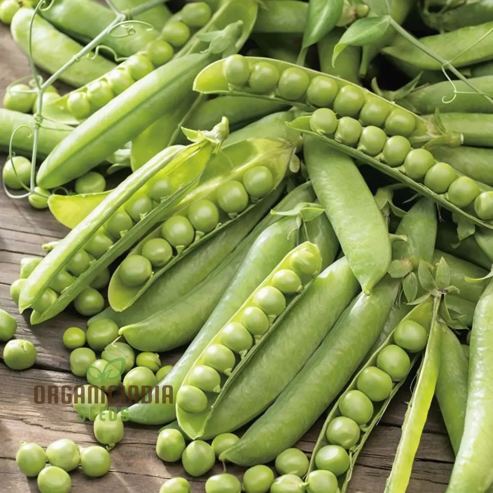 Meteor Pea Vegetable Seeds, Heirloom Snow Pea Variety for Home Gardening High Germination Rate, Easy to Grow