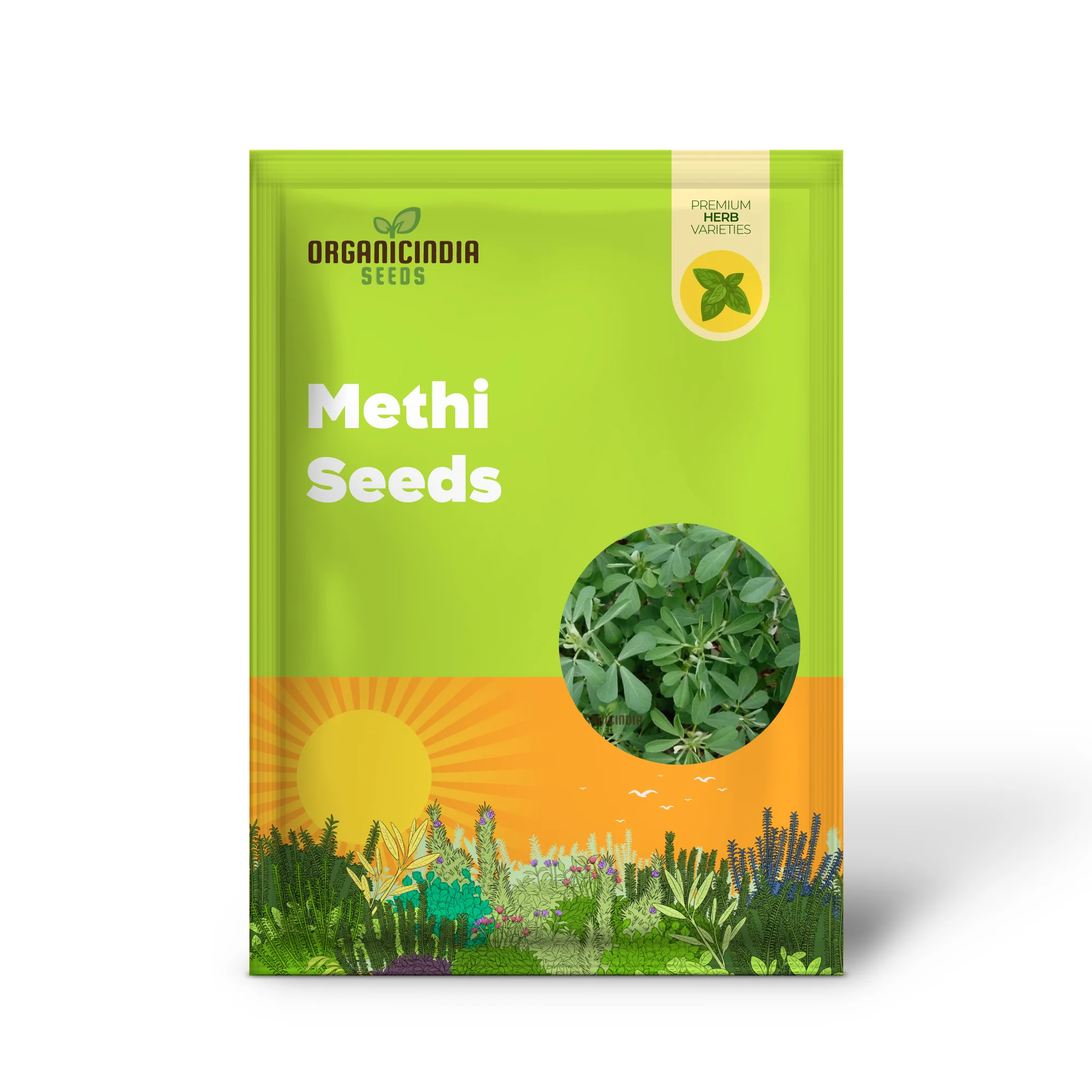 Methi (Fenugreek) Seeds for Planting,Ideal for Homegrown - Image 2
