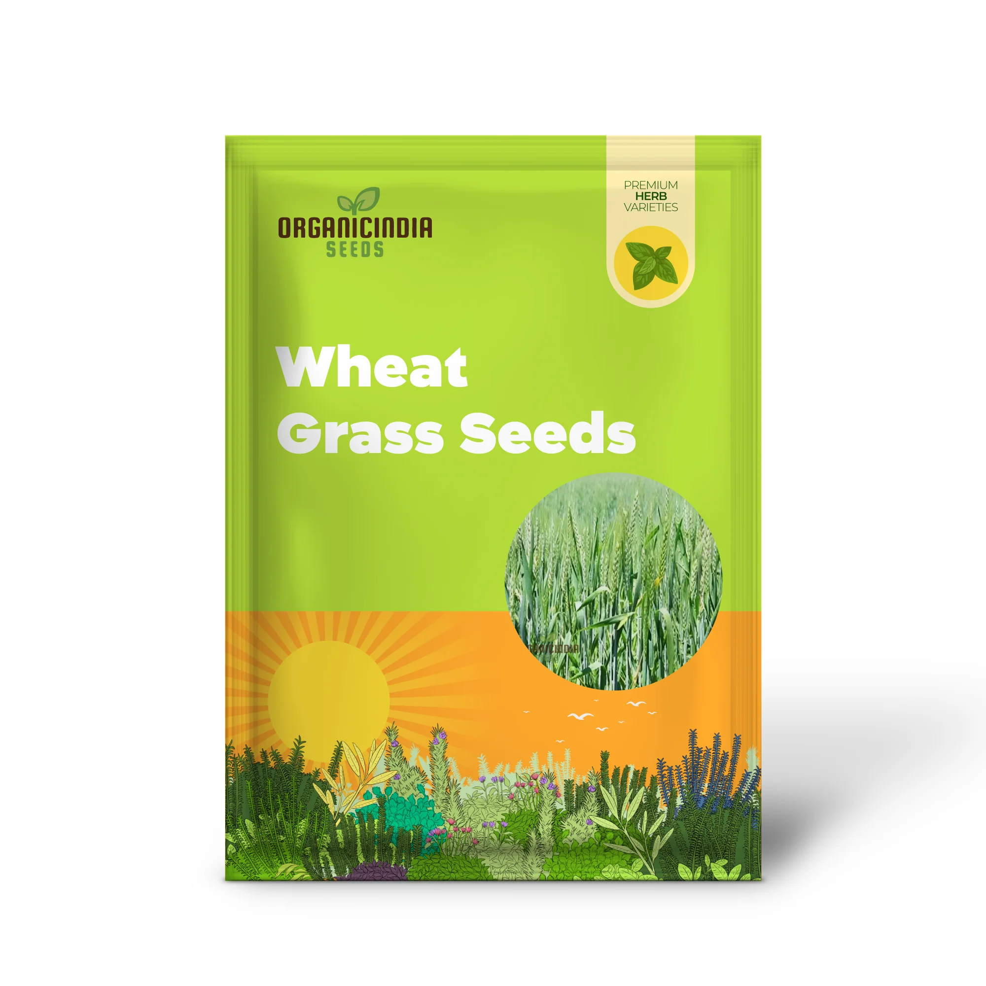 Microgreen Wheat Grass Seeds - Fast Growing, Nutrient-Rich, Perfect for Indoor Gardens - Image 2
