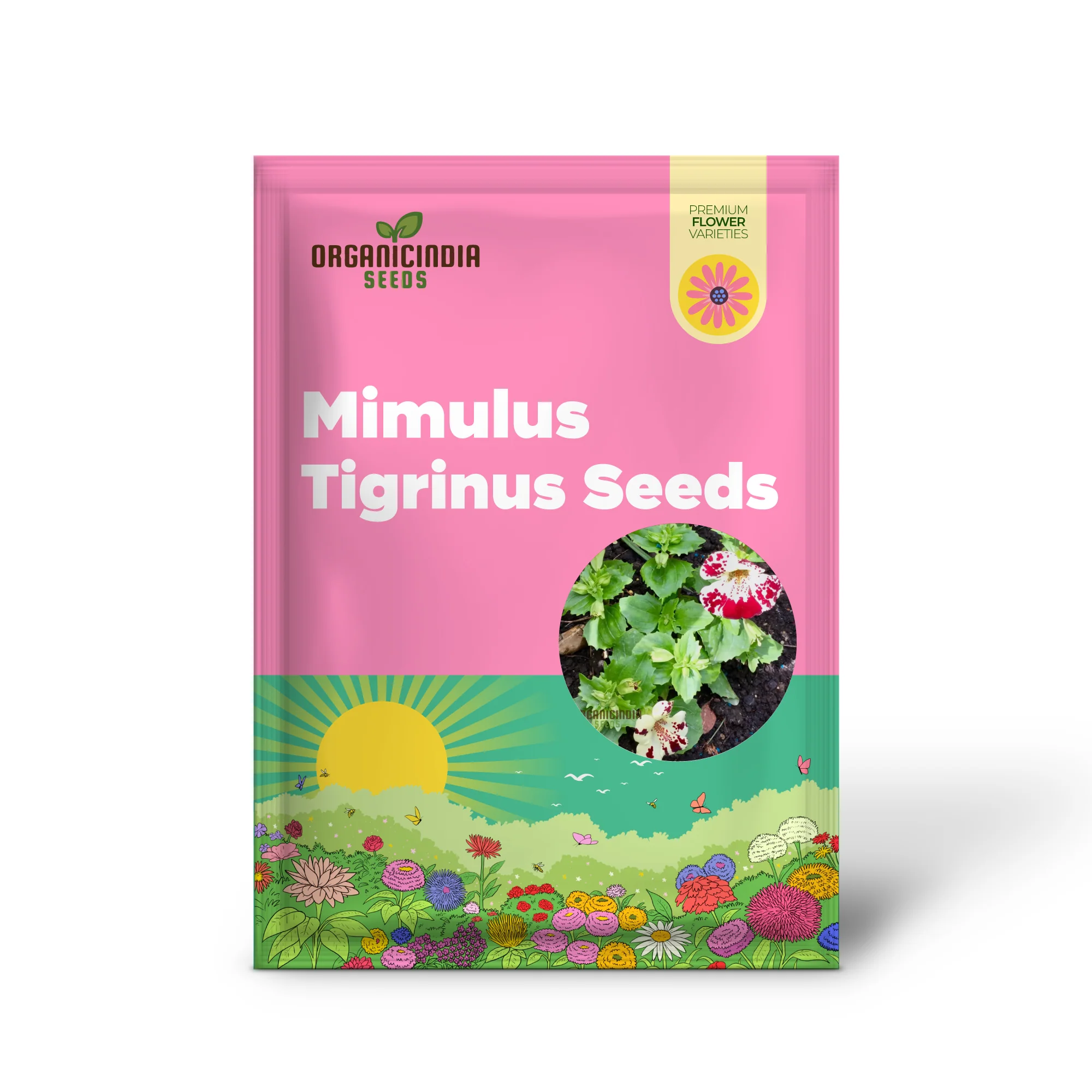 Mimulus Tigrinus Seeds for Vibrant Gardening Enthusiasts | Rare Plant Variety for Your Blossoming Garden - Image 2