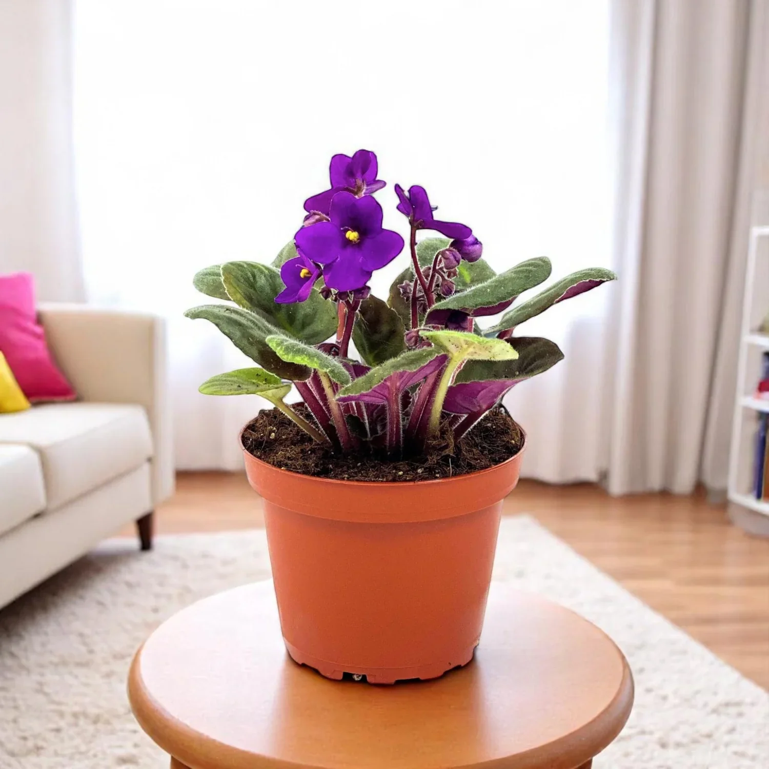 Mini African Violet Seeds for Indoor & Outdoor Planting - Easy-to-Grow, Vibrant Blooms - Image 3