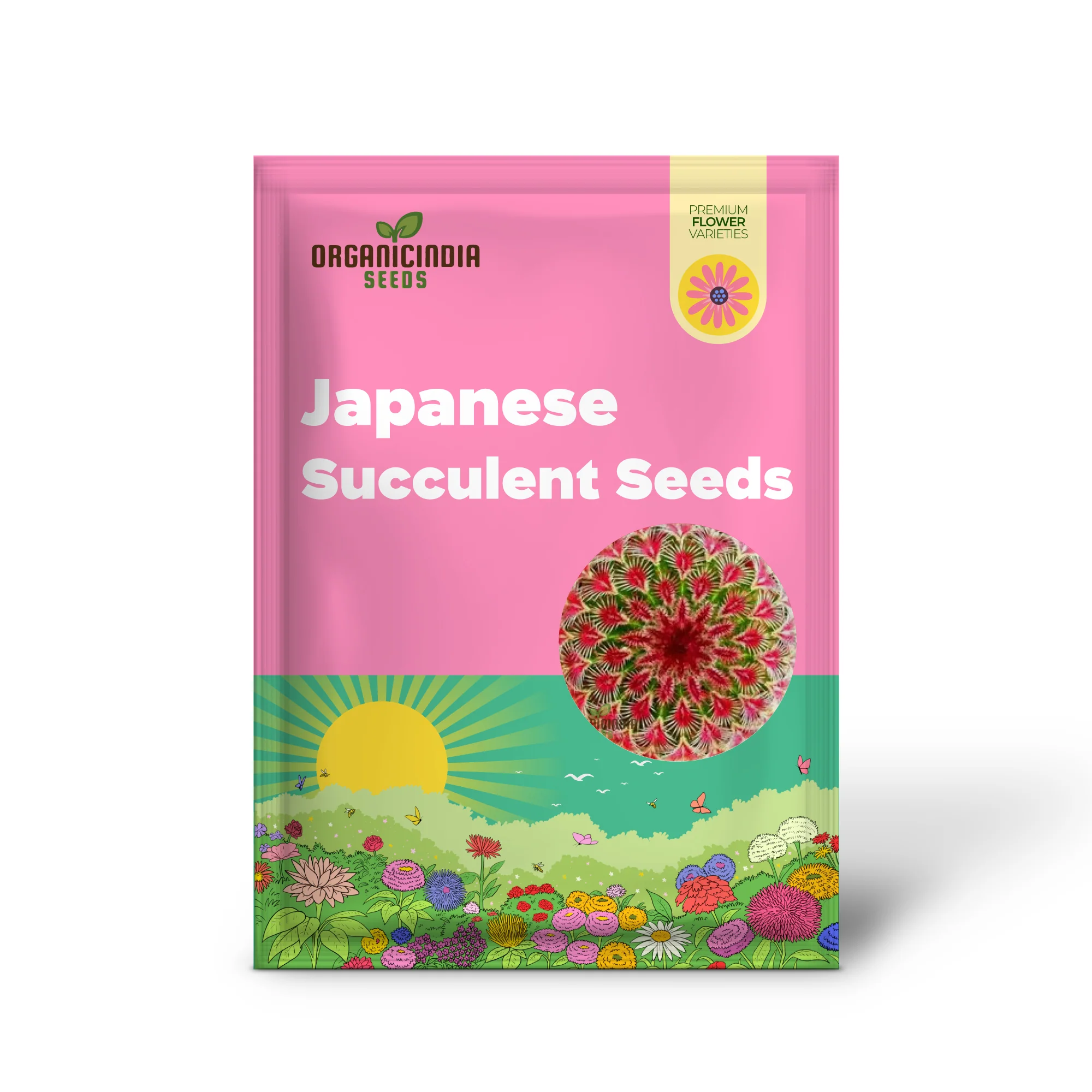Mini Cactus, Prickly Pear, Japanese Succulent Seeds for Planting - Image 2