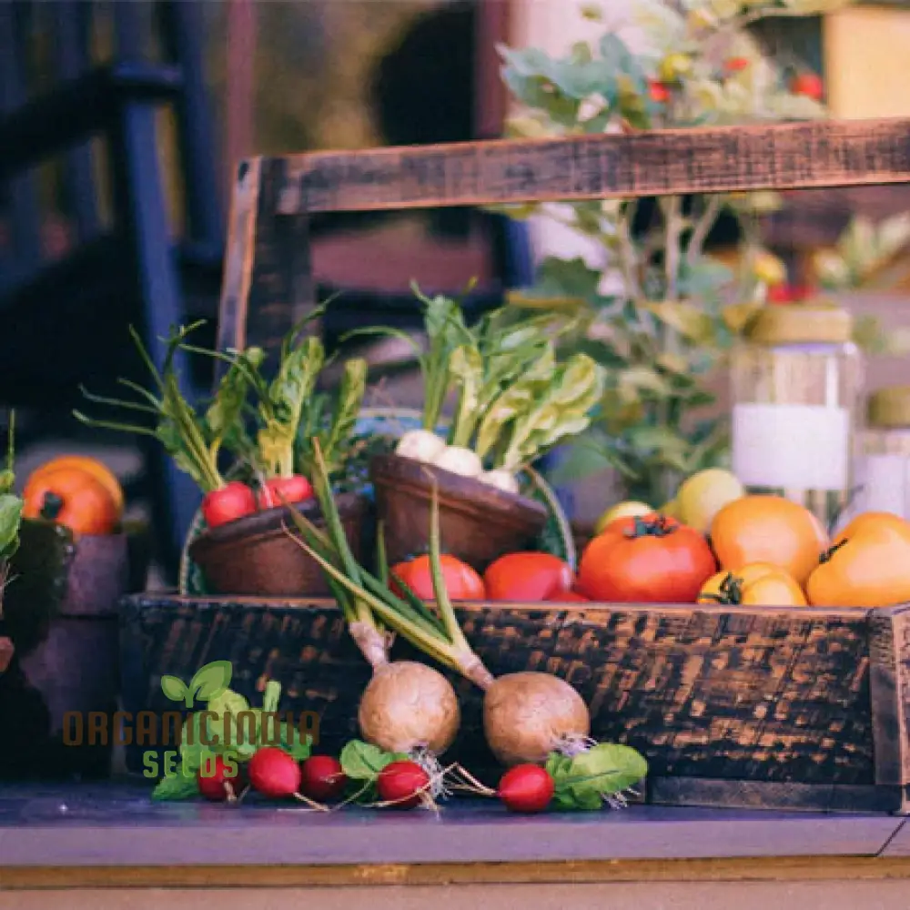 Mini Veg Patch Seeds Elevate Your Gardening Experience with a Bounty of Fresh, Homegrown Vegetables!