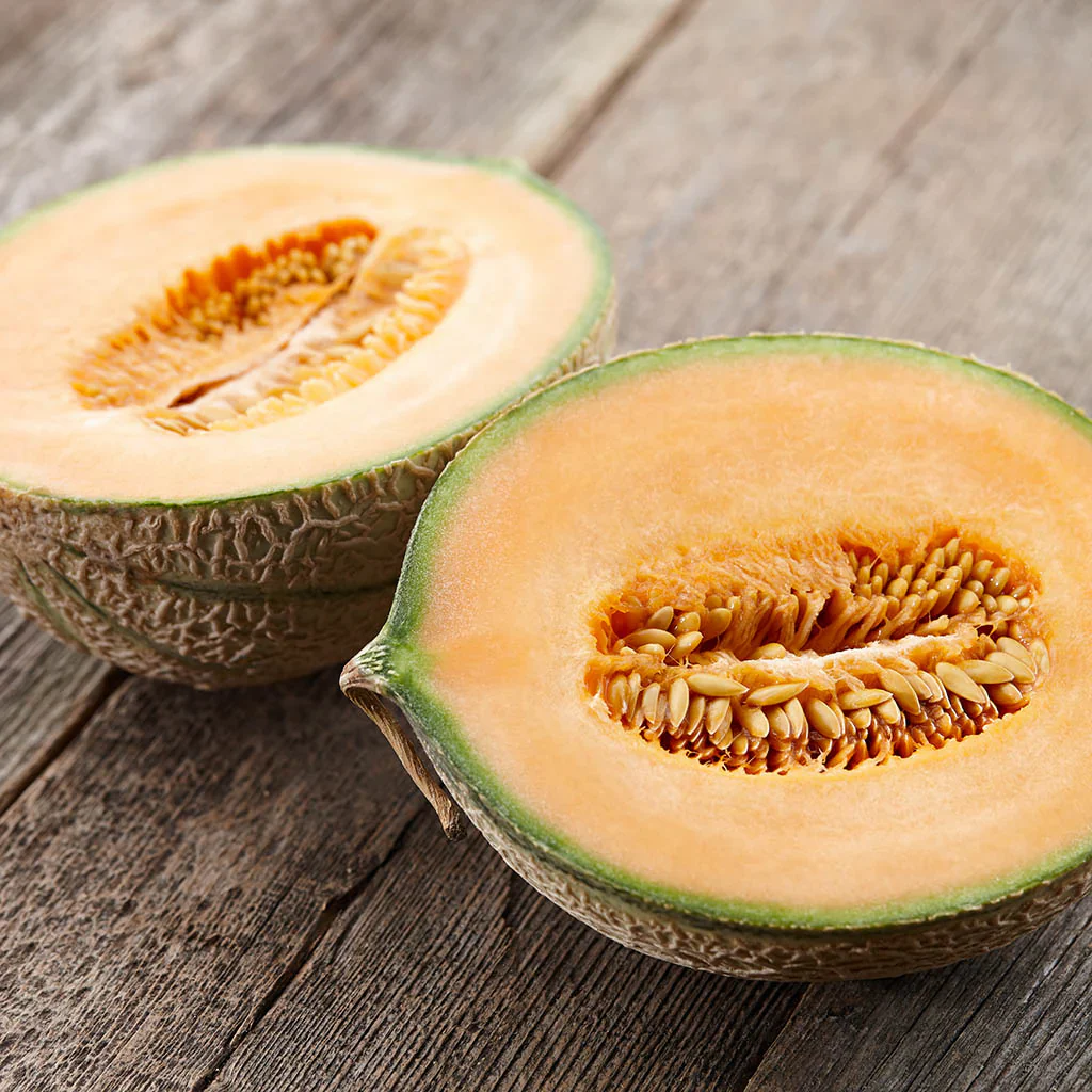 Minnesota Midget Cantaloupe Seeds - Image 4