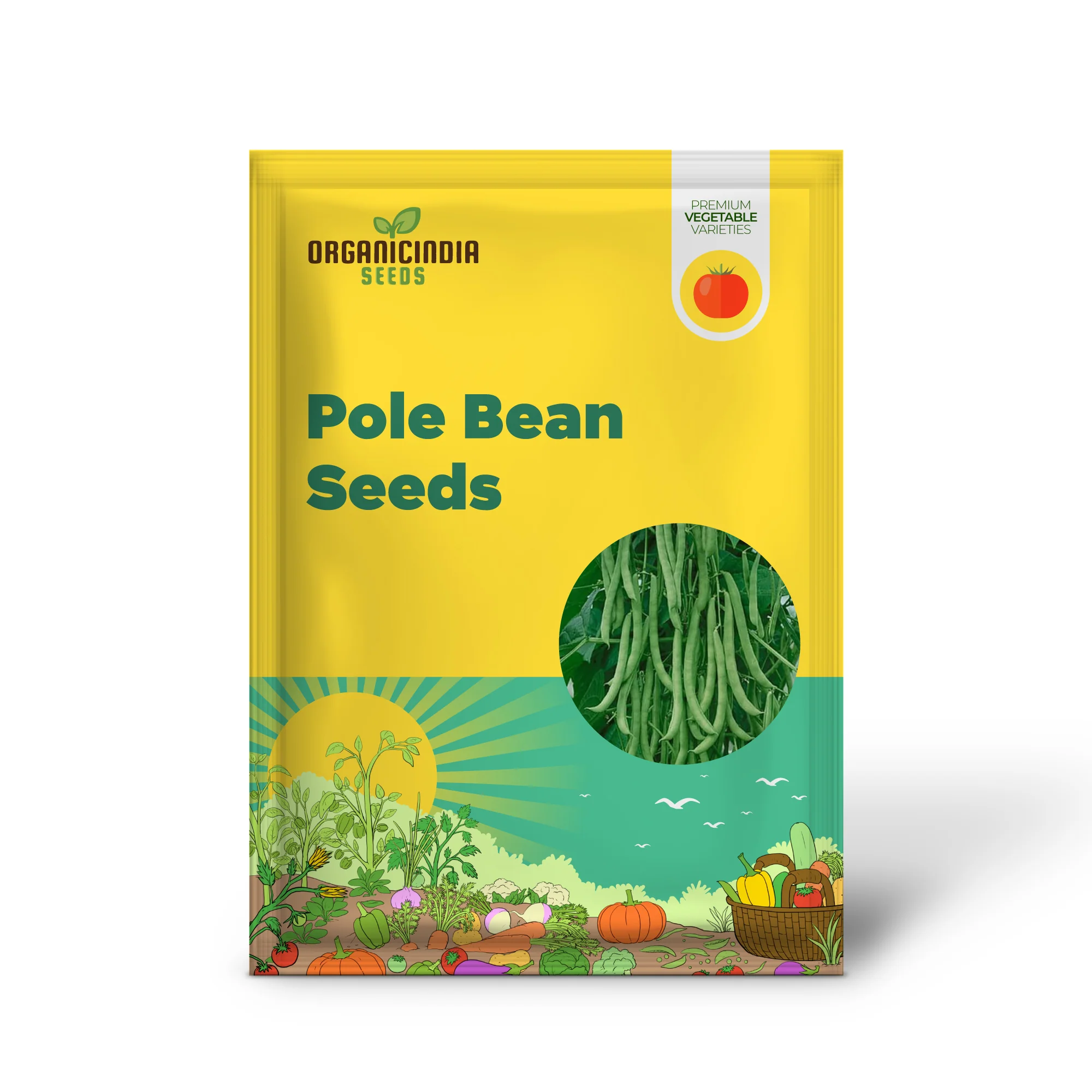 Missouri Wonder Pole Bean Seeds, Premium Pole Bean Vegetable Seeds For Planting - Image 2