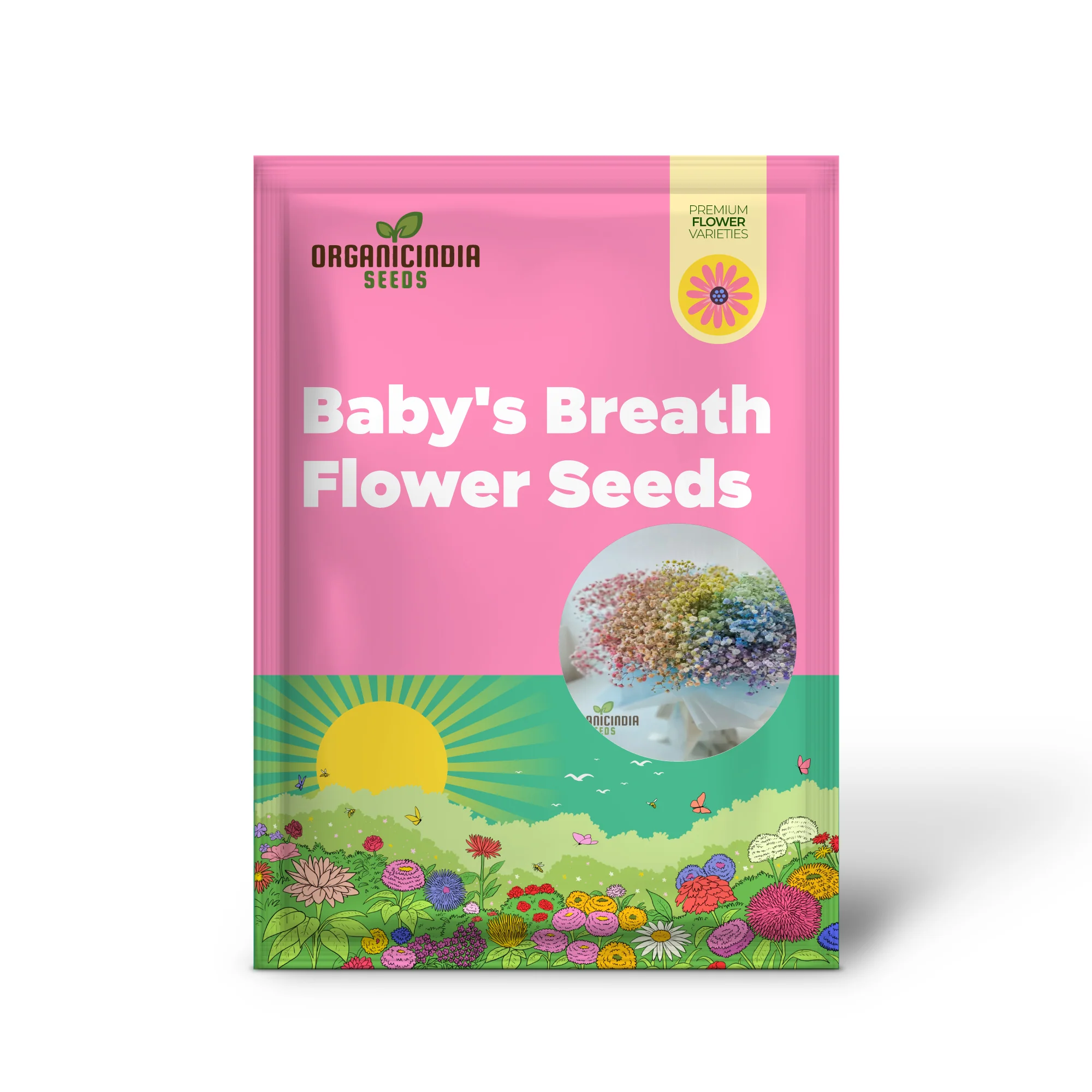 Mixed Baby's Breath Imported Flower Seeds , Elevate Your Gardening with an Abundance of Graceful, Ethereal Blooms! - Image 2