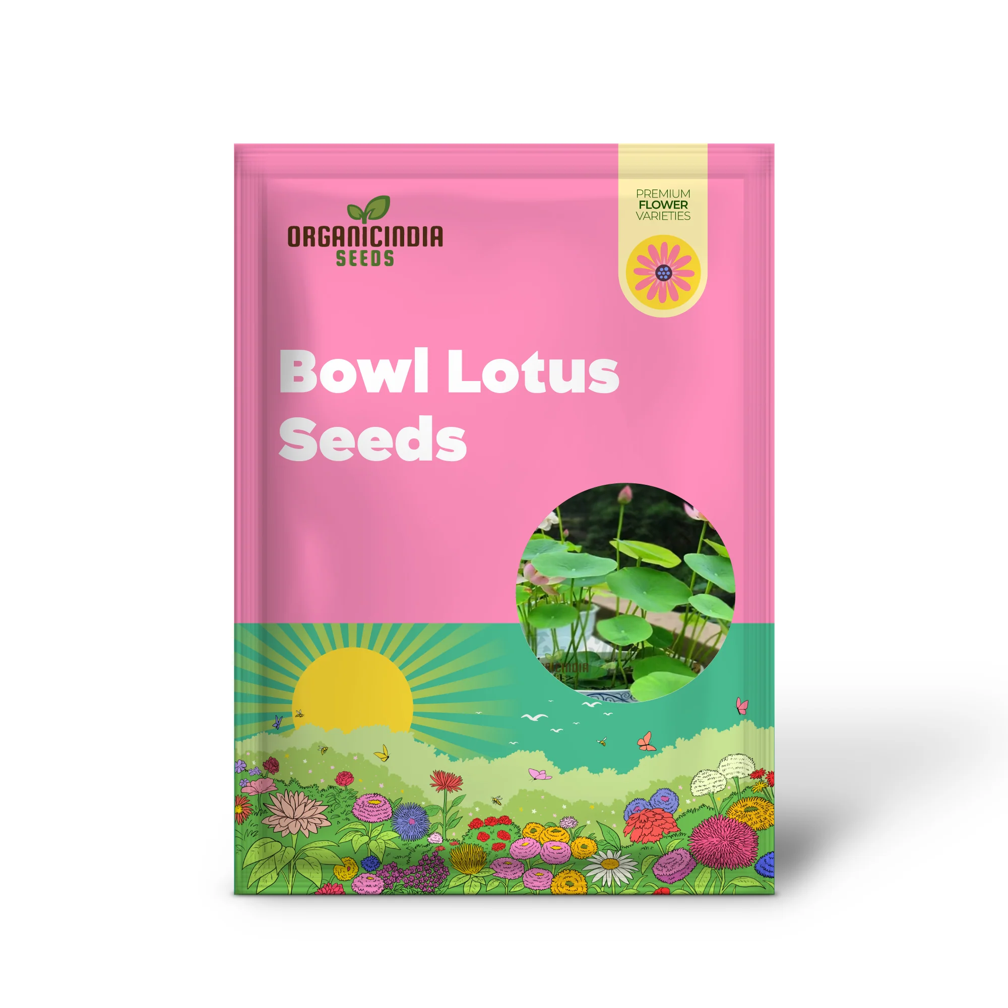 Mixed Bowl Lotus Seeds for Planting Perfect for Water Gardens - Image 2
