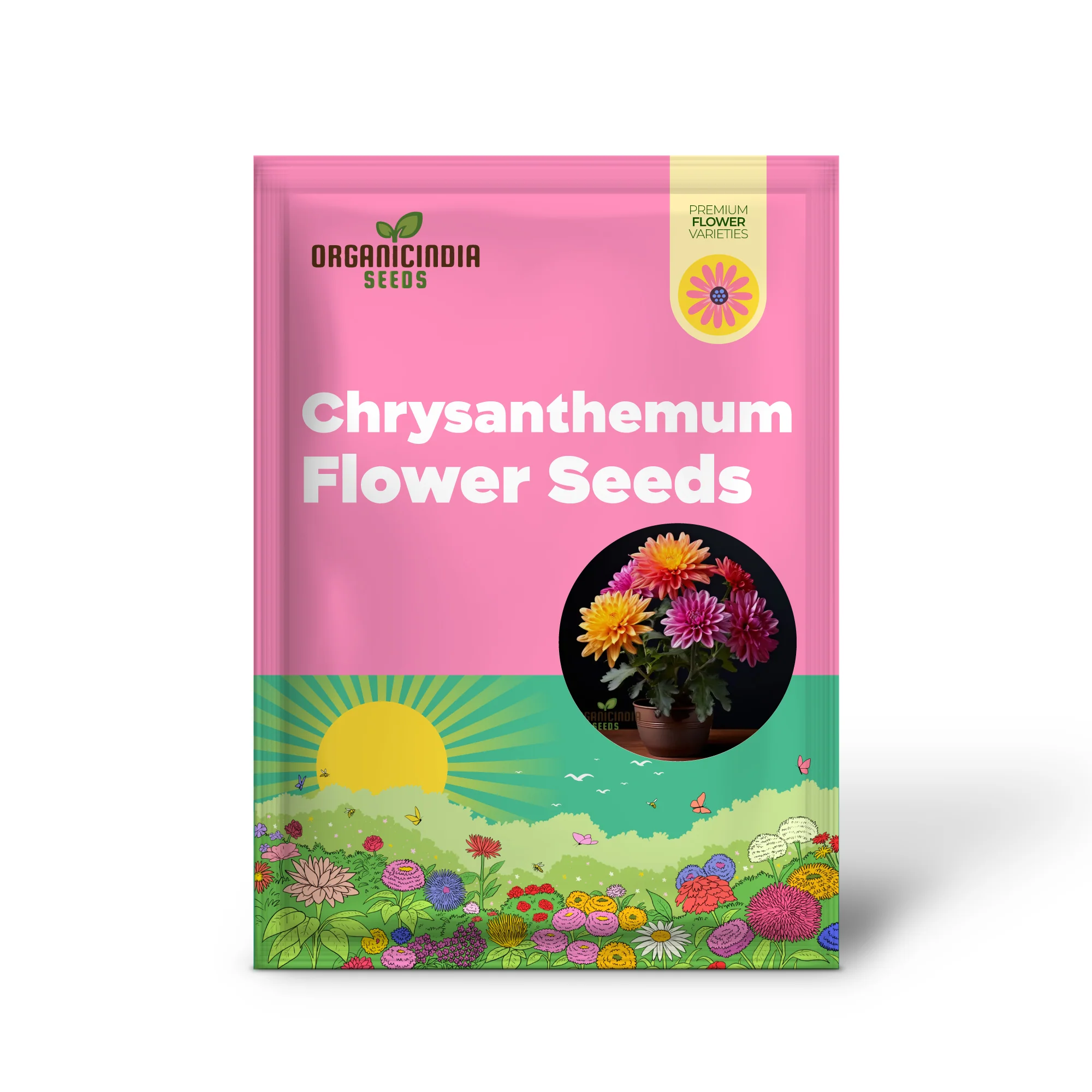 Mixed Chrysanthemum Flower Seeds, Cultivate a Colorful and Elegant Garden with Premium Chrysanthemum Seeds for Planting and Gardening - Image 2