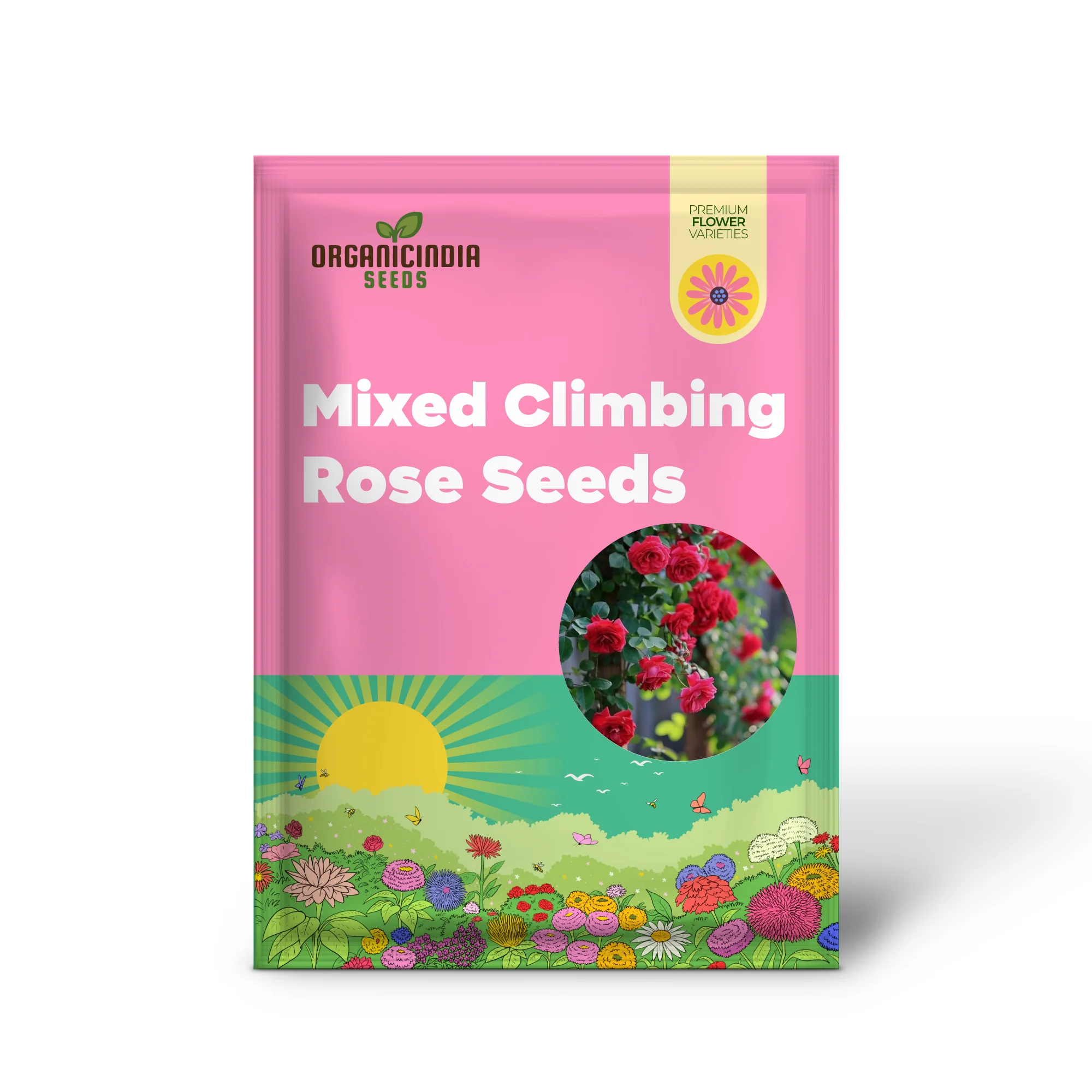 Mixed Climbing Rose Seeds for Planting - Create a Beautiful, Lush Garden with Vibrant Blooms - Image 2