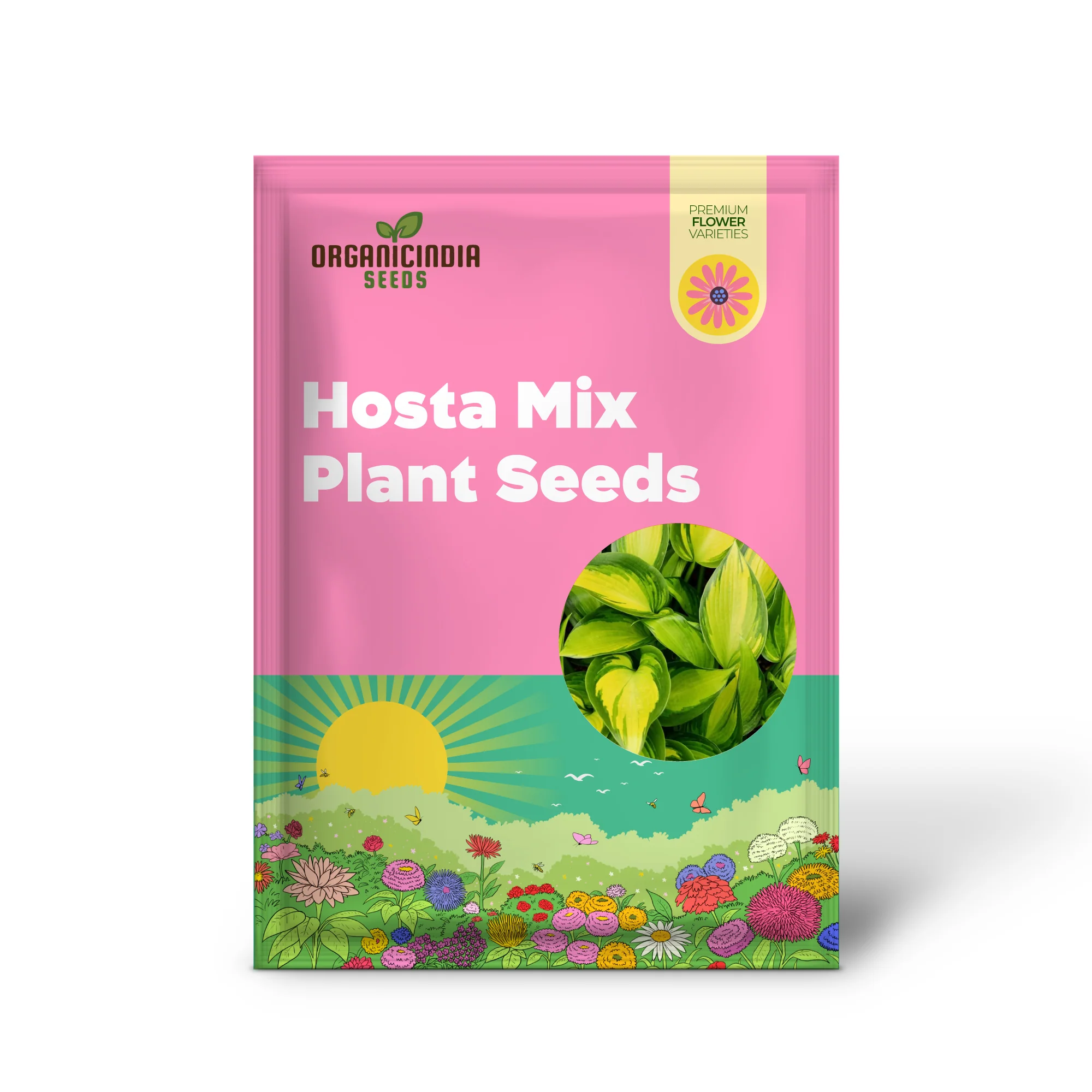 Hosta Seeds (Mixed Color Hosta Seeds) - Easy-Care Perennial for Pots and Gardens - Image 2