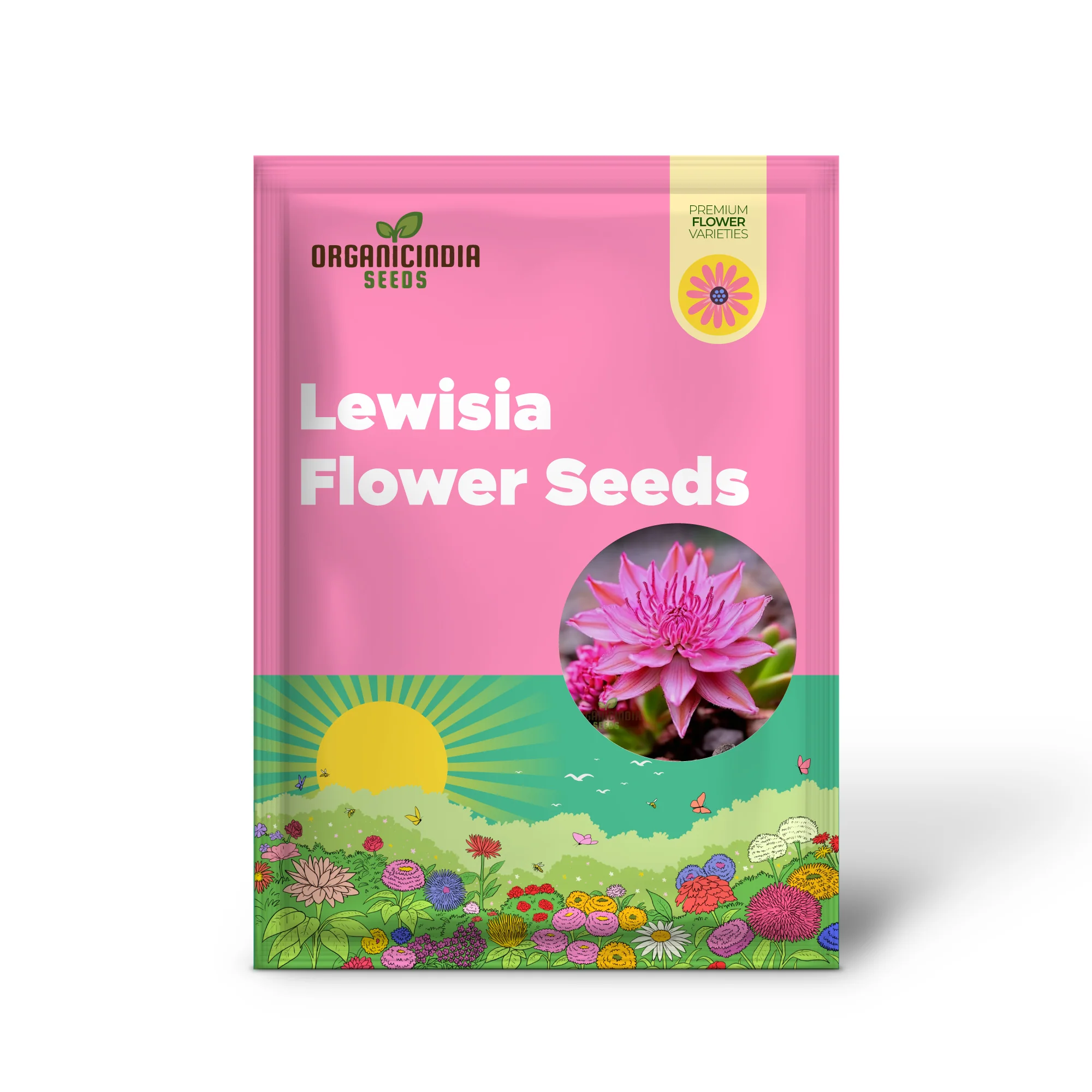 Mixed Lewisia Flower Seeds, High-Quality Flower Seeds for Planting and Gardening - Cultivate a Colorful and Vibrant Garden - Image 2