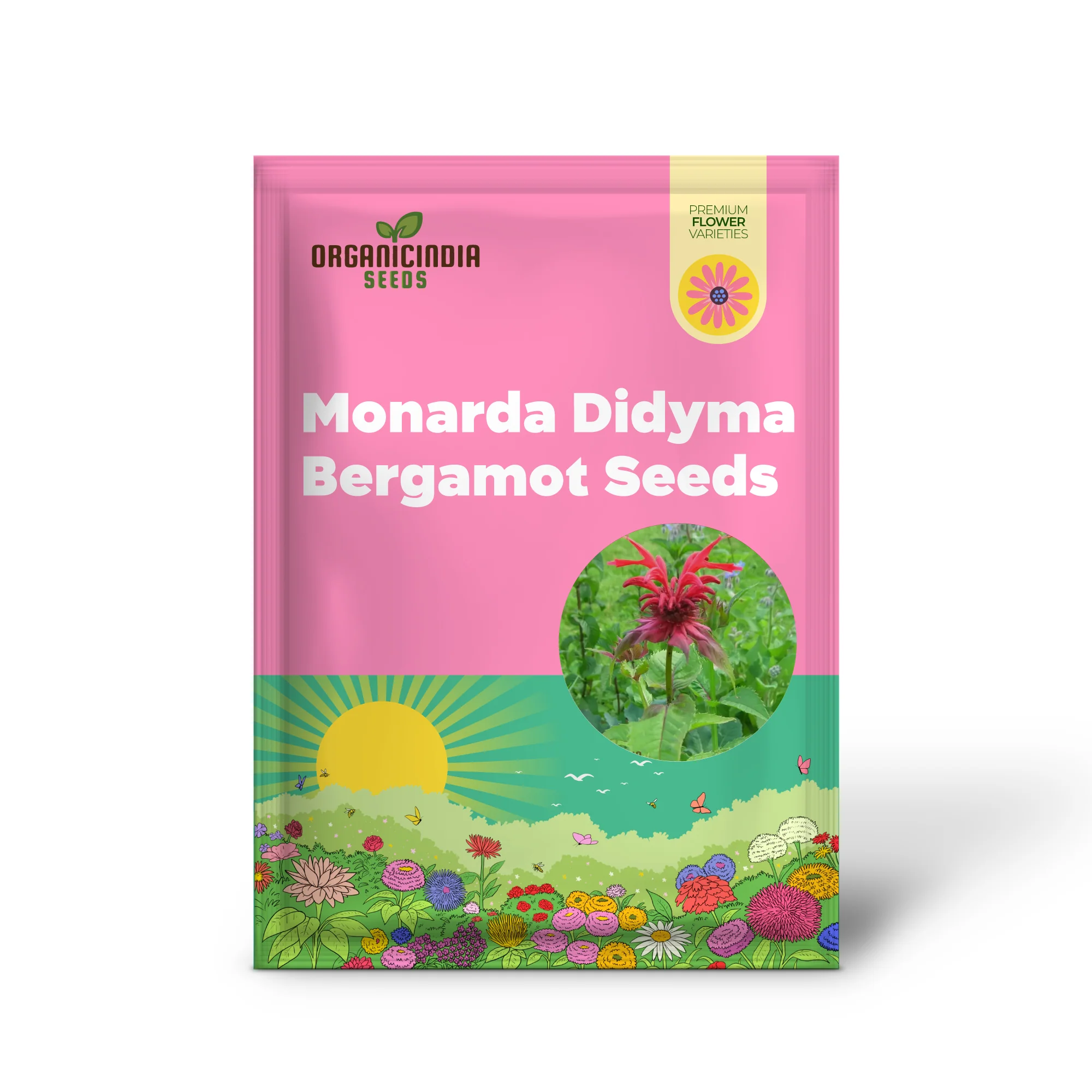 Monarda Didyma Bergamot Seeds for Vibrant Gardening Enthusiasts - Image 2
