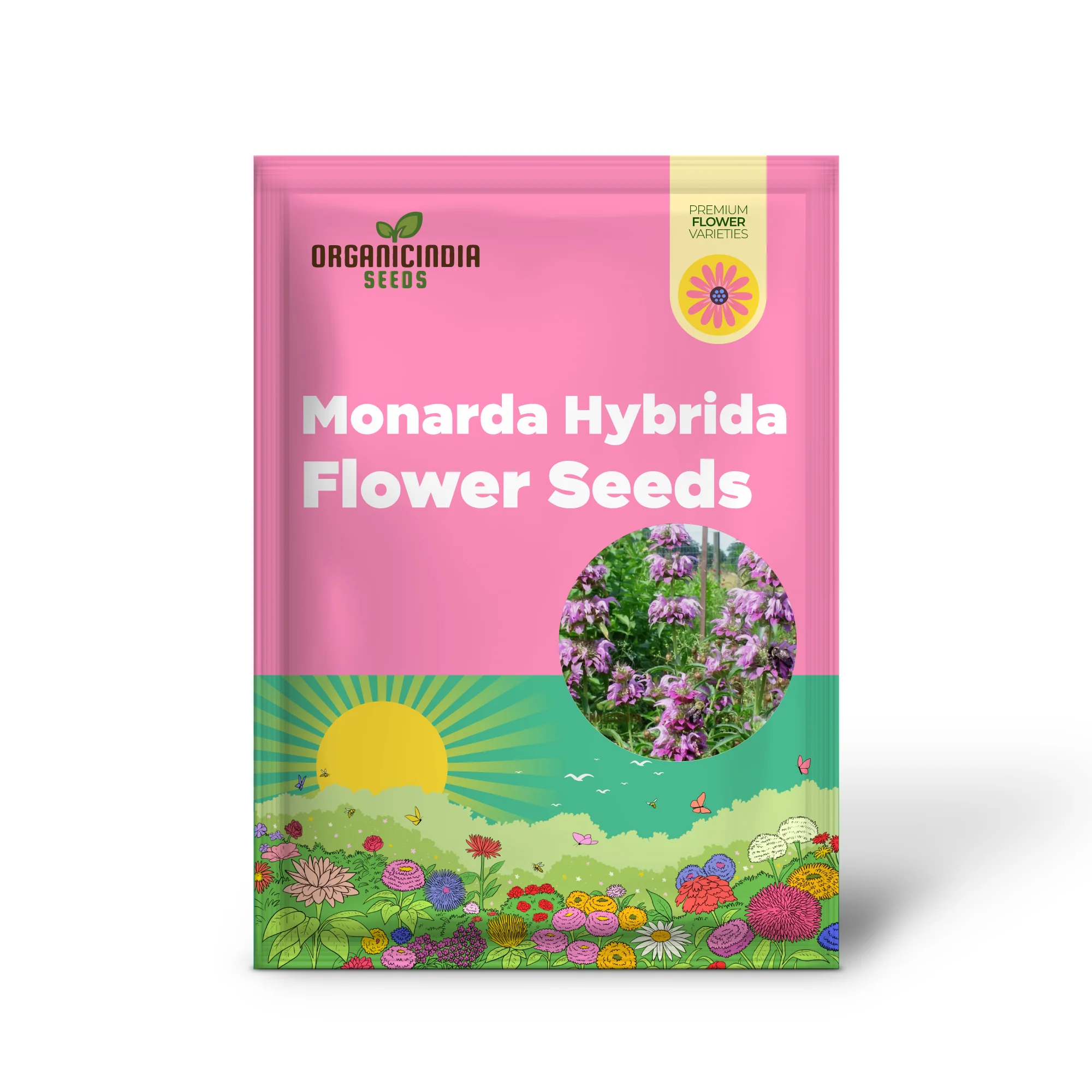 Monarda Hybrida 'Lambada' Flower Seeds for Planting, Vibrant Perennial Blooms for Gardening - Image 2