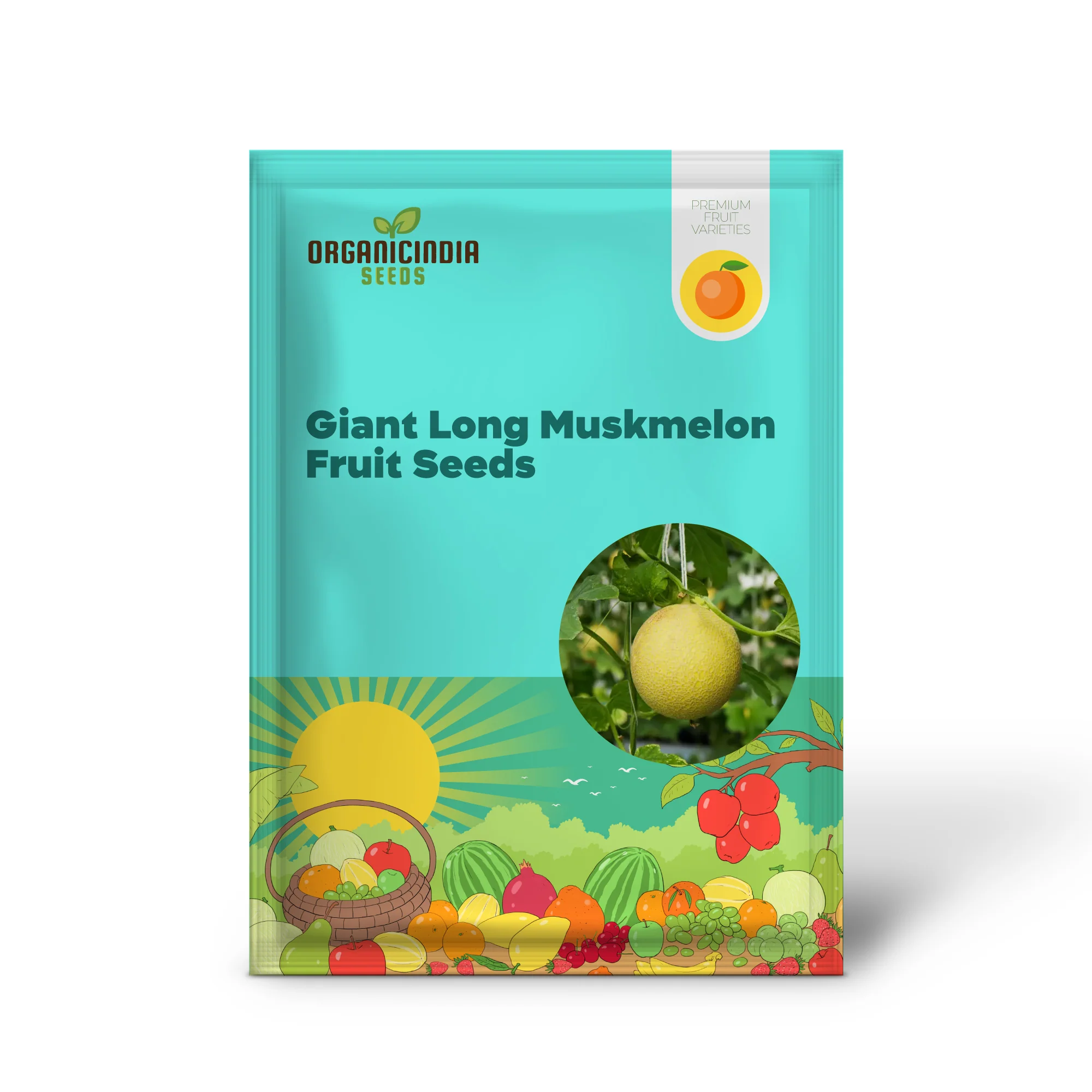 Monumental Vines Cultivating Giant Long Muskmelon Fruit Seeds, Embark on a Gardening Odyssey, Muskmelon Seeds - Image 2