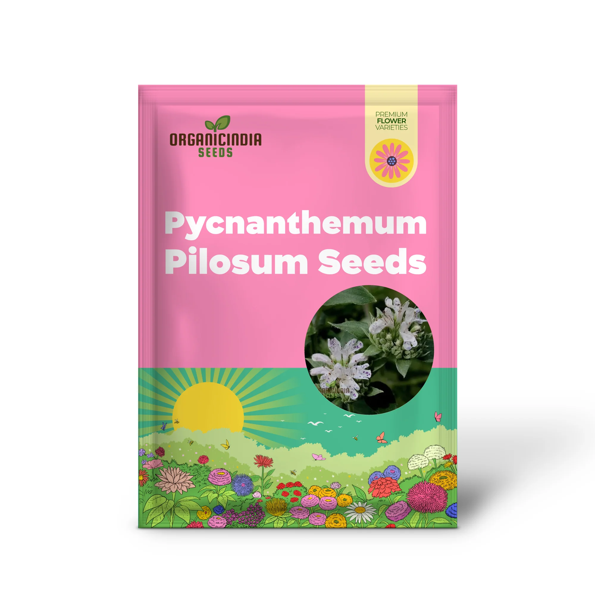 Mountain Mint (Pycnanthemum pilosum) Seeds - Fragrant Herb for Pollinators - Grow Your Own Medicinal Garden - Organic Gardening Supplies - Image 2