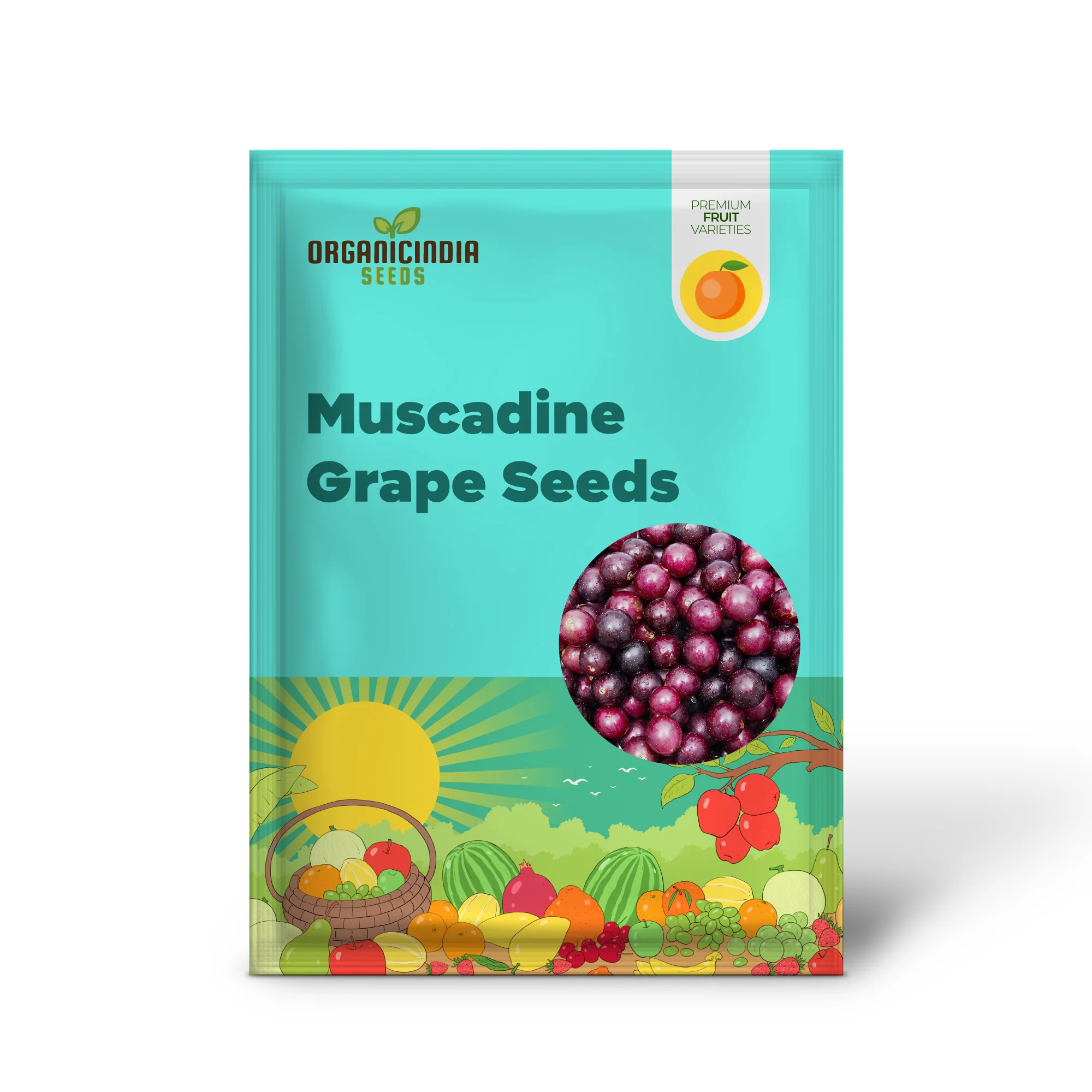 Muscadine Grape Seeds Climbing Vine Perennial, Fast Growing, Sweet And Tasty, Rich in Vitamins for Arbors, Pergolas, Trellises - Image 2
