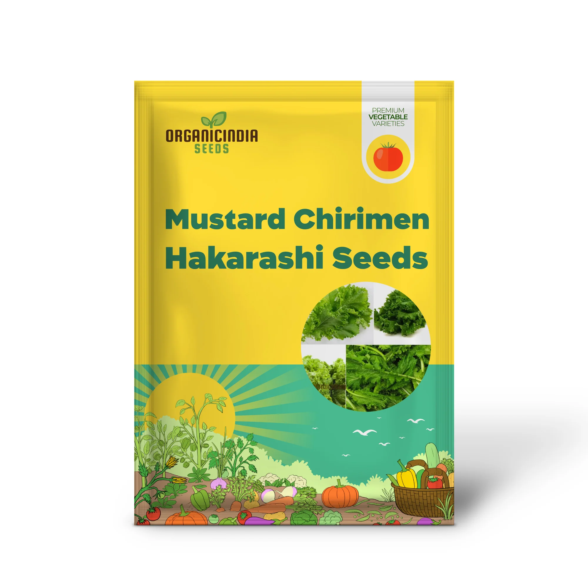 Mustard - Chirimen Hakarashi Vegetable Seeds For Planting, Grow Curled Japanese Mustard Greens for Your Garden - Image 2