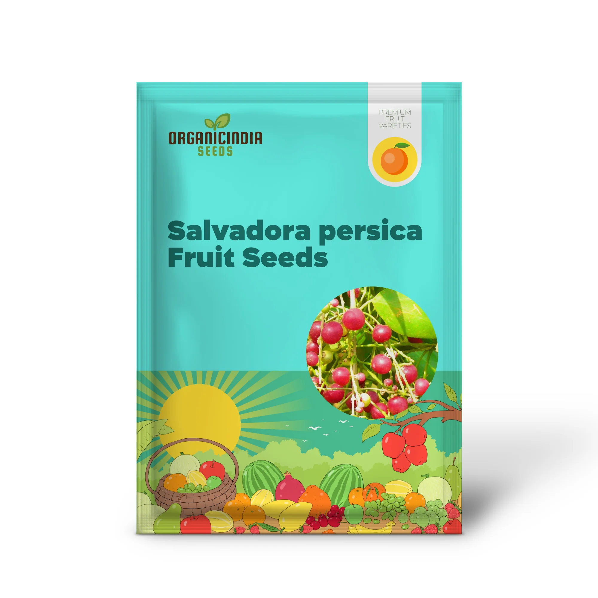 Salvadora persica, Toothbrush Tree, Mustard Tree, or Salt Brush Tree seeds for planting - Image 2